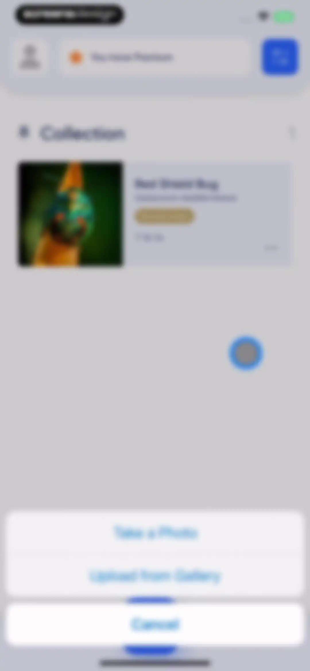 Bug Identifier: AI Insect id screen 34