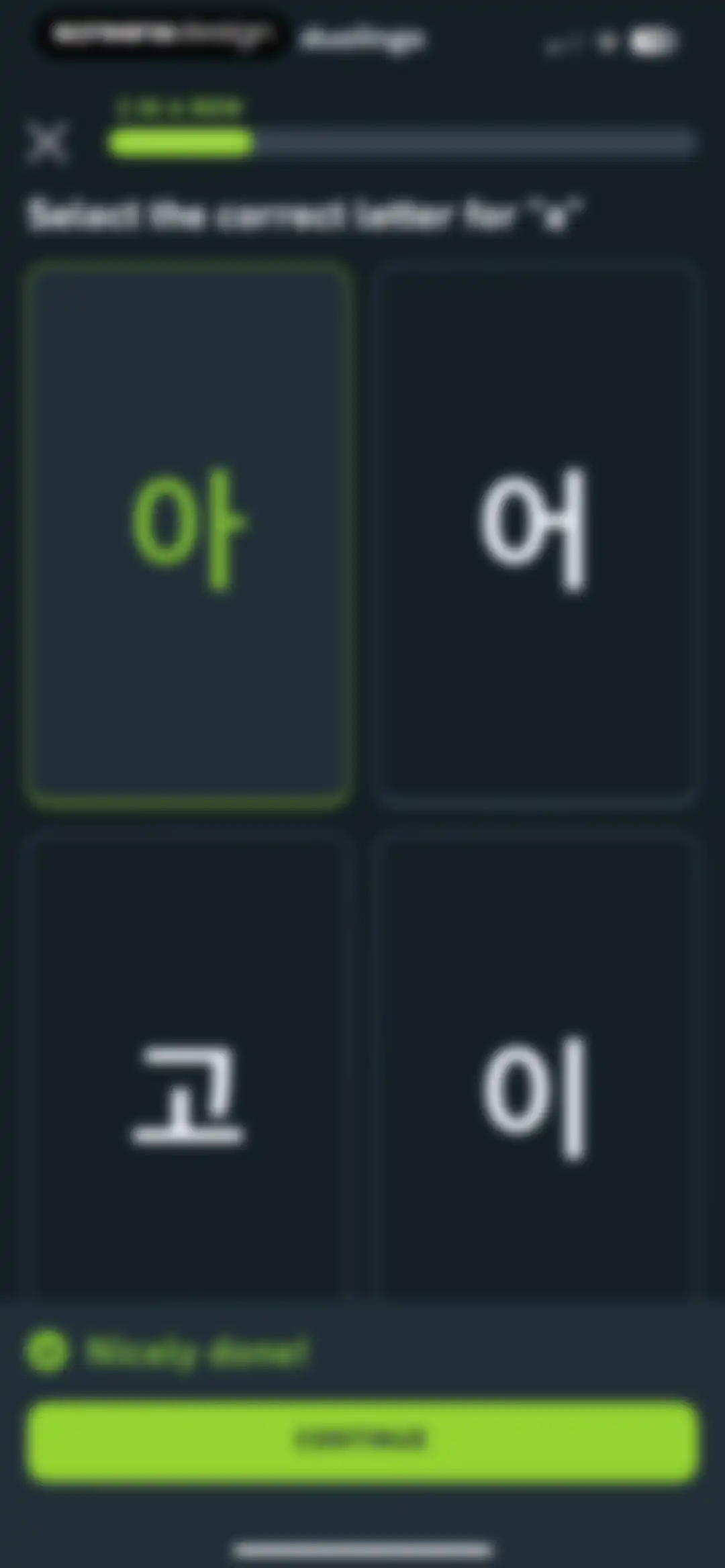 Duolingo: Language Lessons screen 23