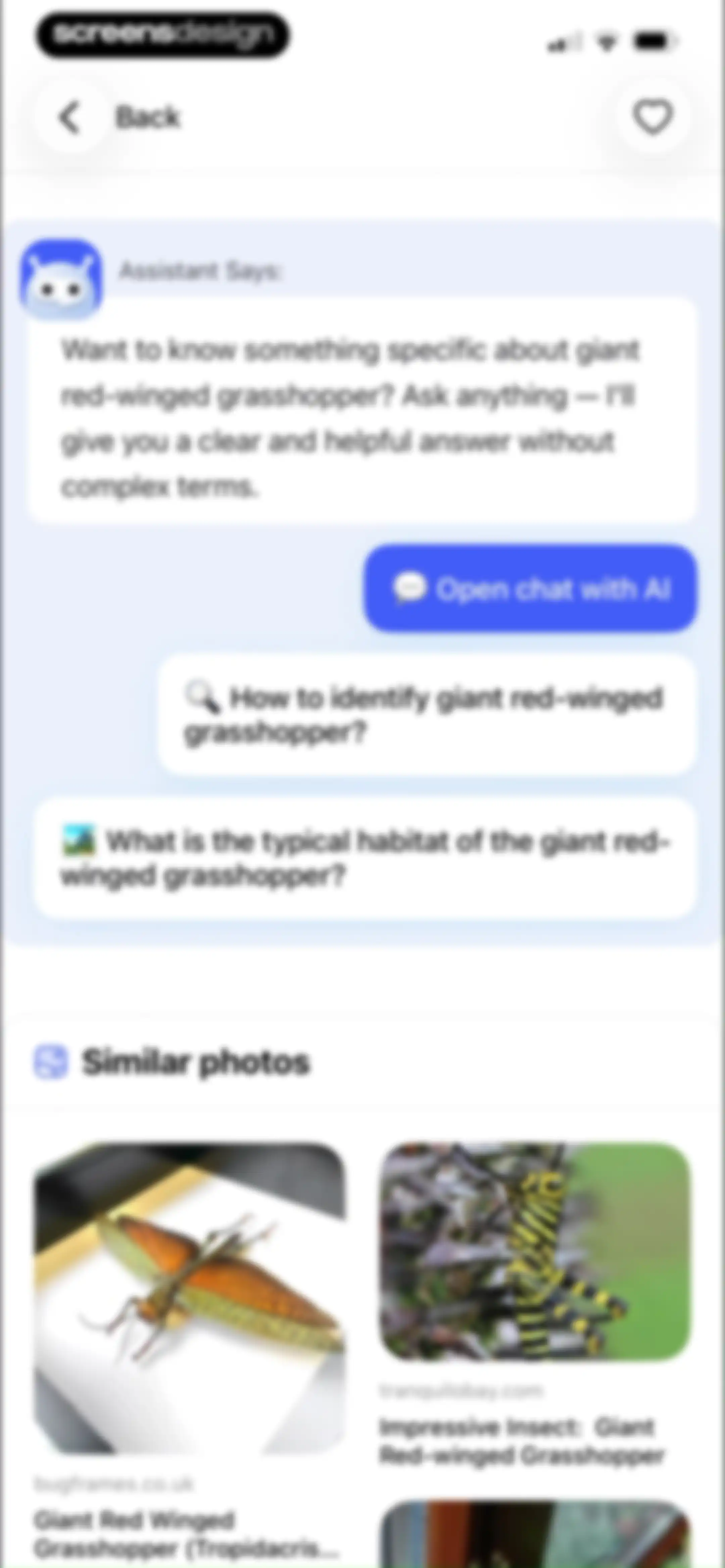 LensAI・Identifier・Image Search screen 46