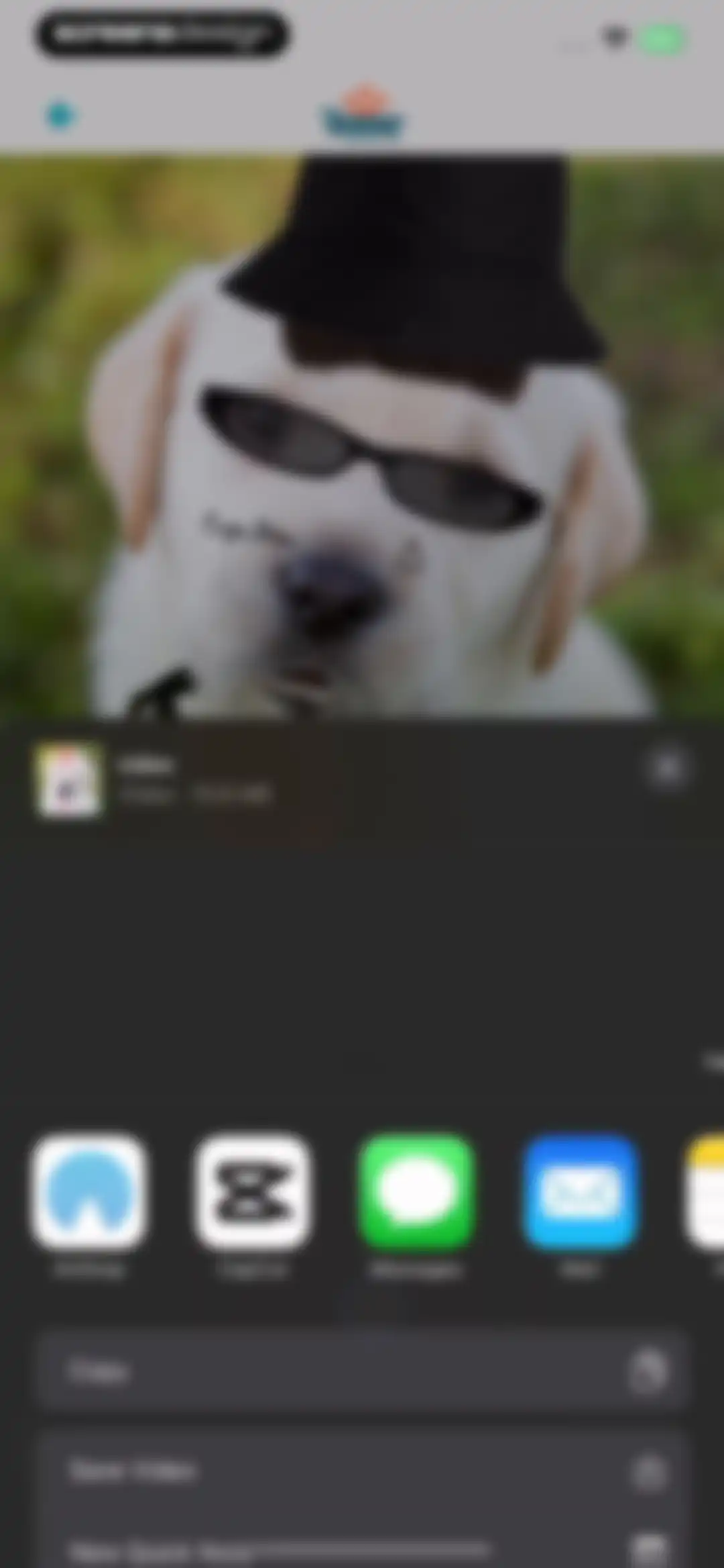 My Talking Animal & Pet App screen 23