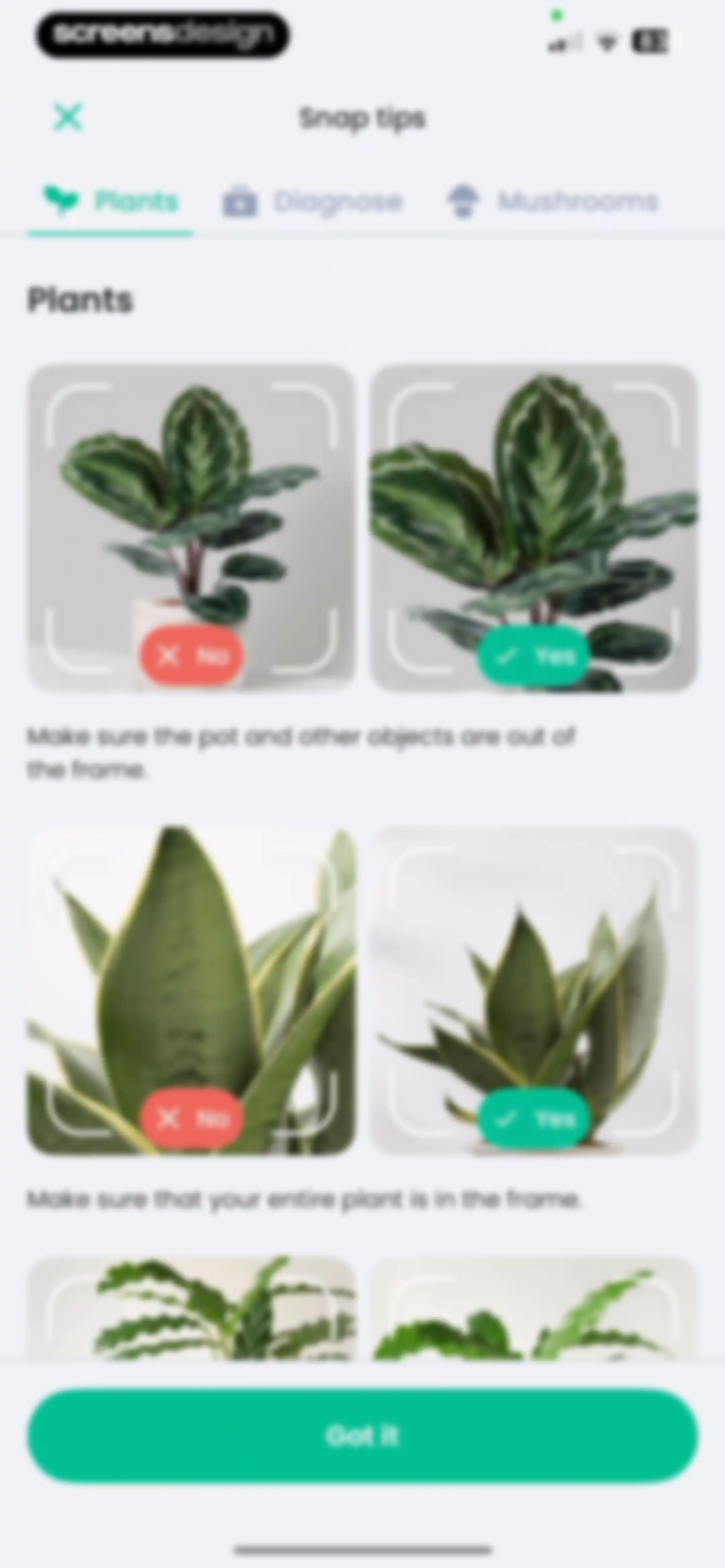 PlantIn: Plant Identifier・Care screen 20