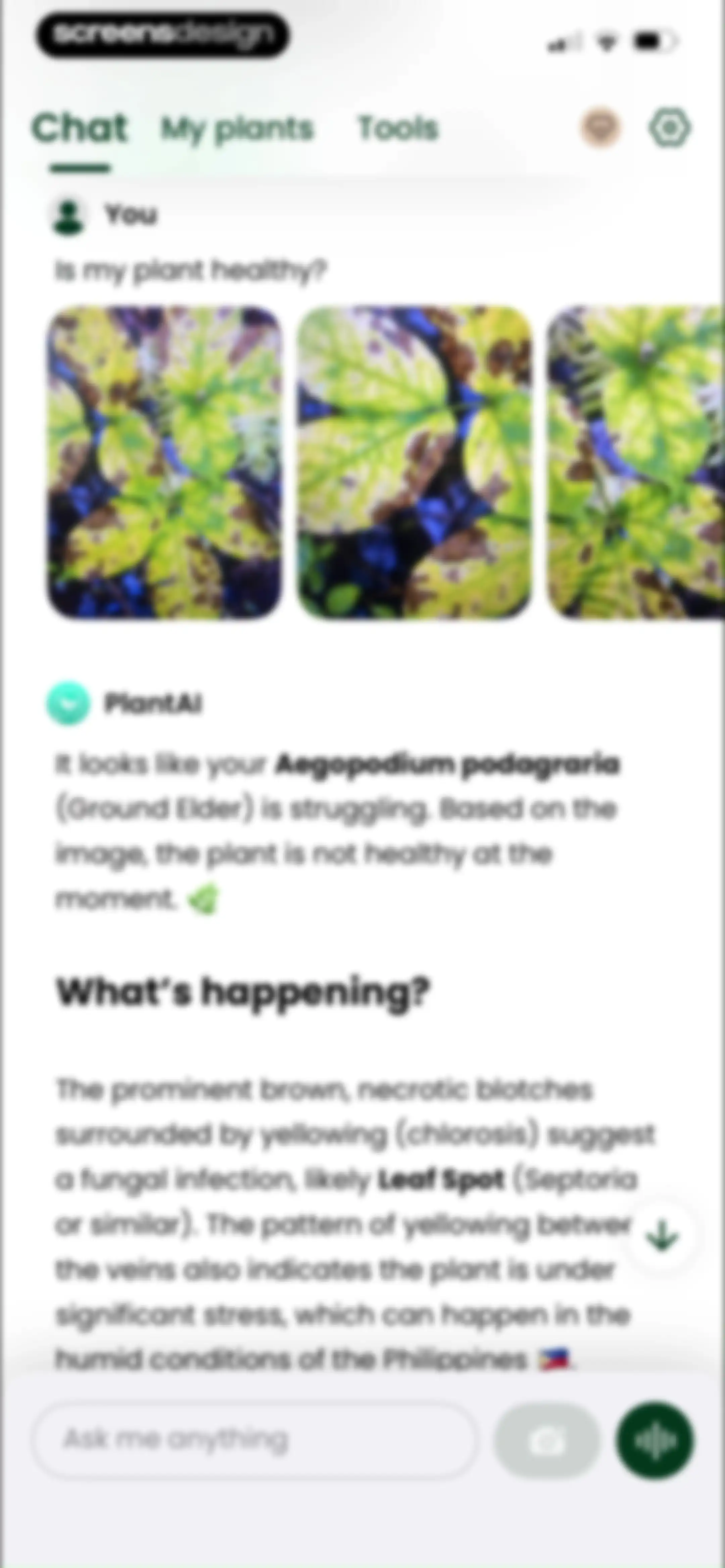 PlantAI: Identifier & Diagnose screen 76