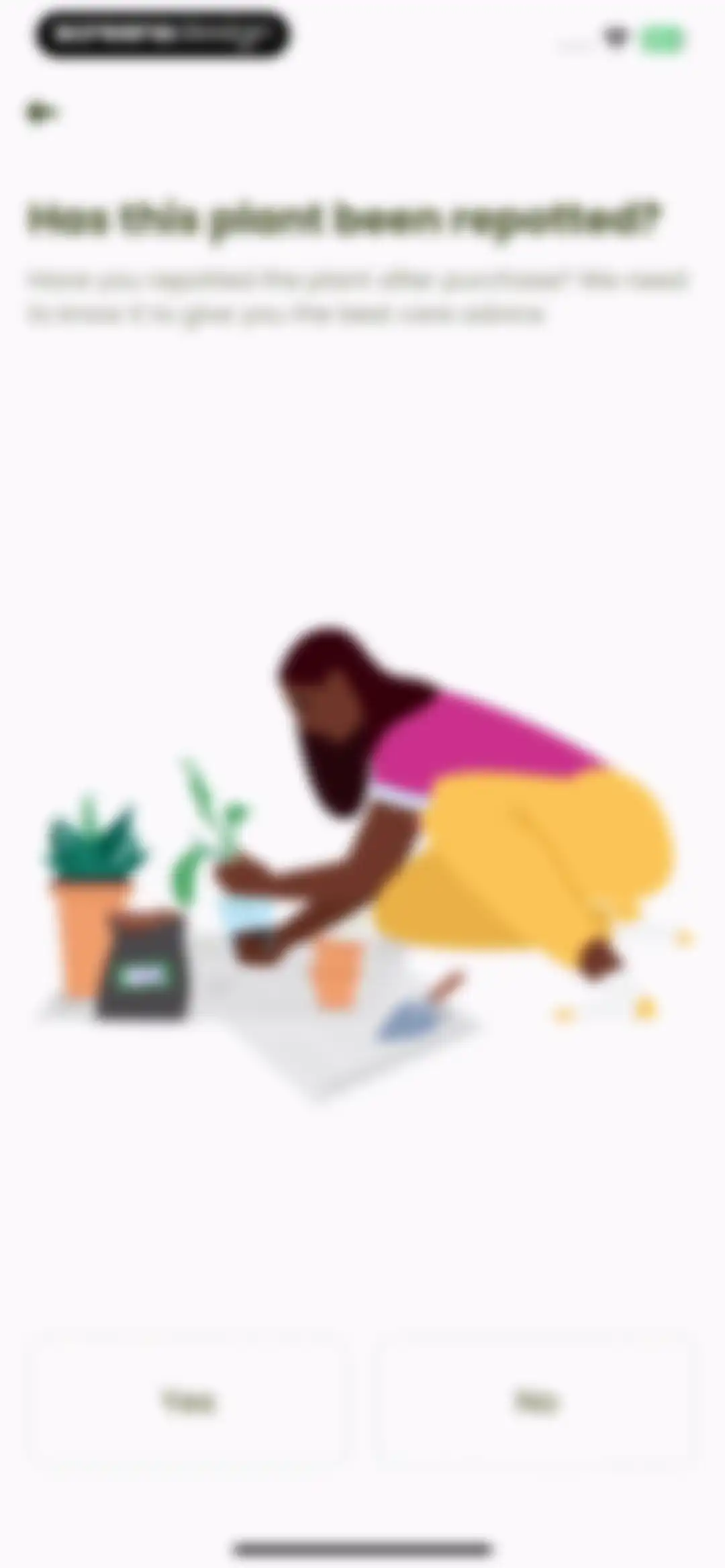 Plant Identifier & Care: Ficus screen 46