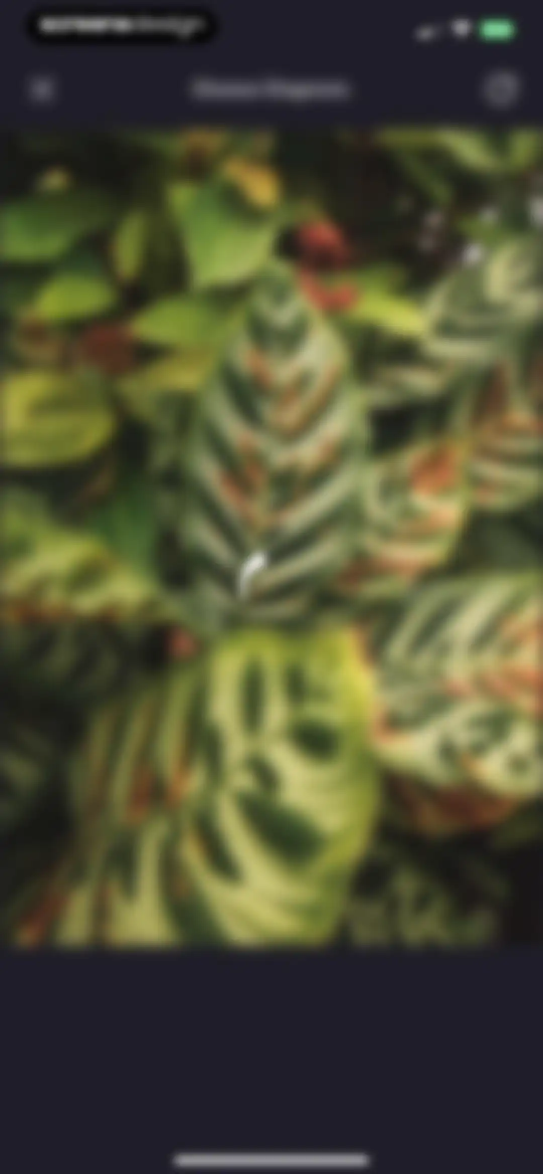 Plantfie・Plant Care Identifier screen 76