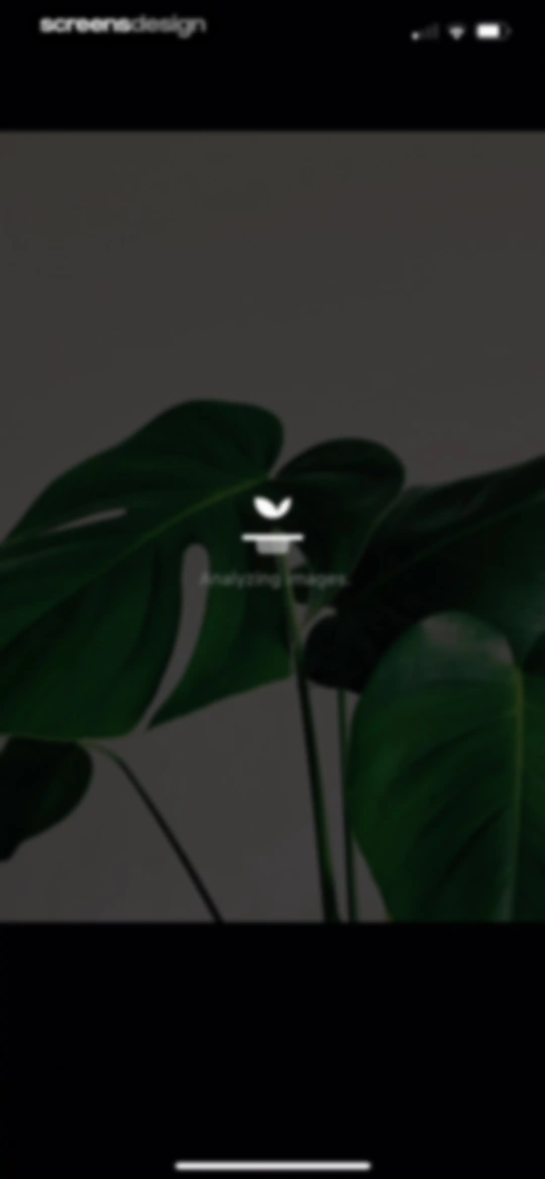 Plant Identifier & Care App screen 78
