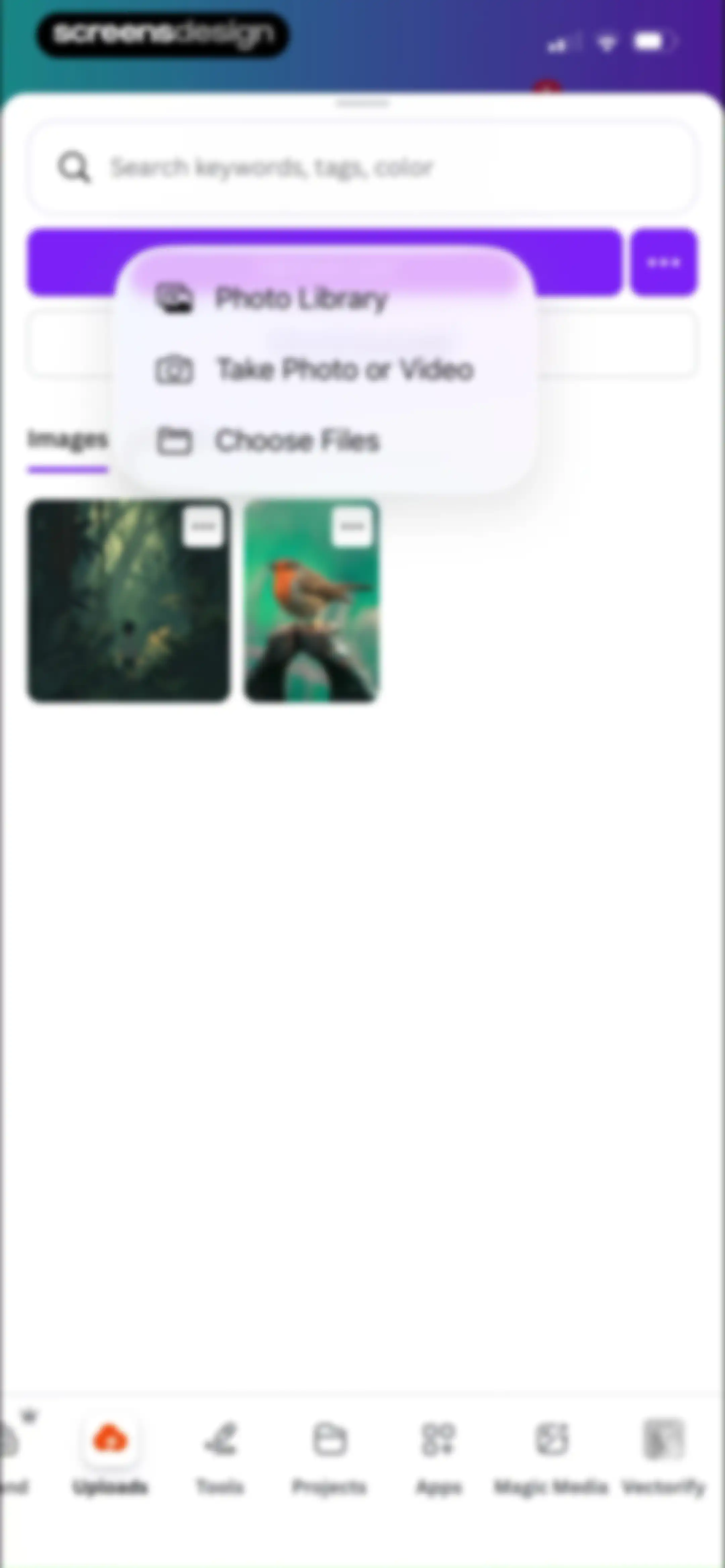 Canva: AI Video & Photo Editor screen 98