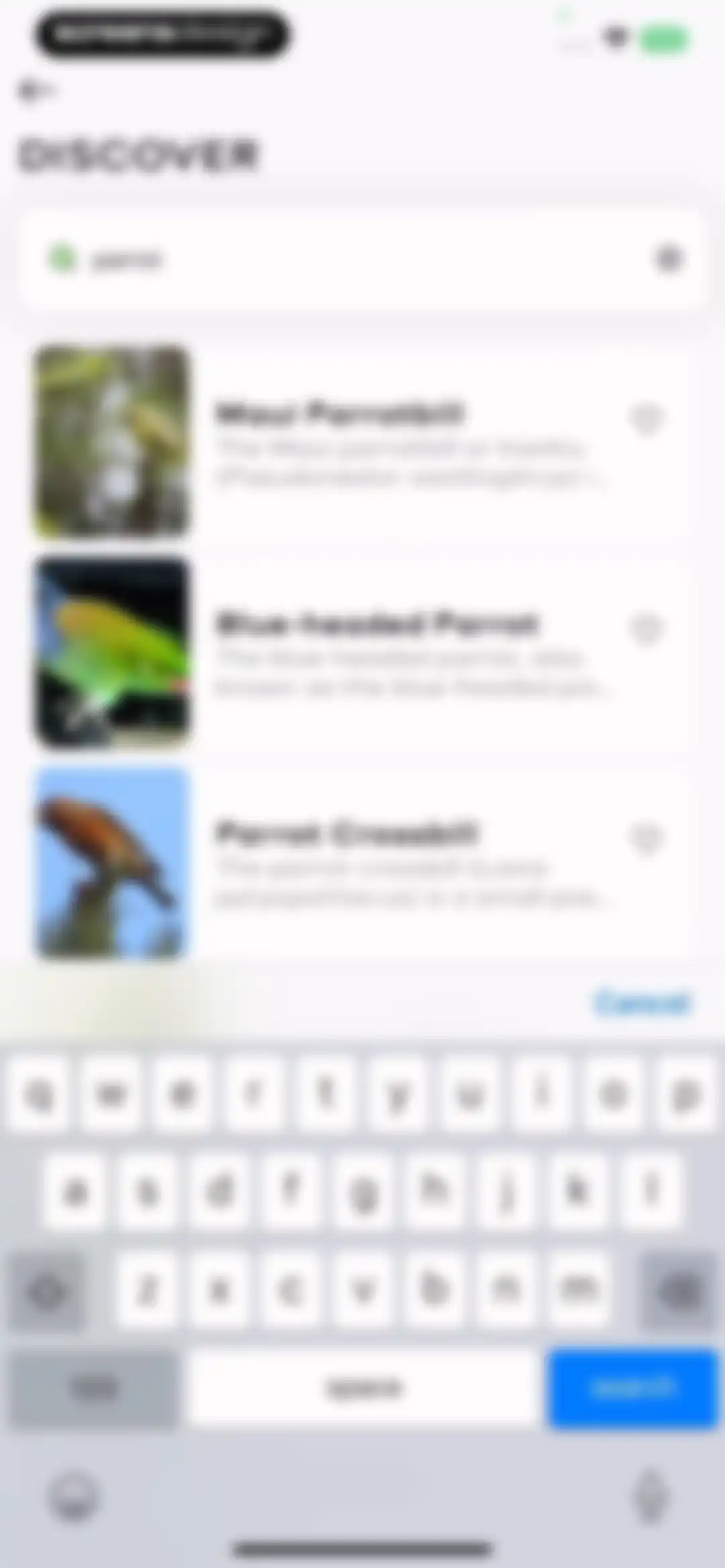 Bird Sounds Identifier Call ID screen 36