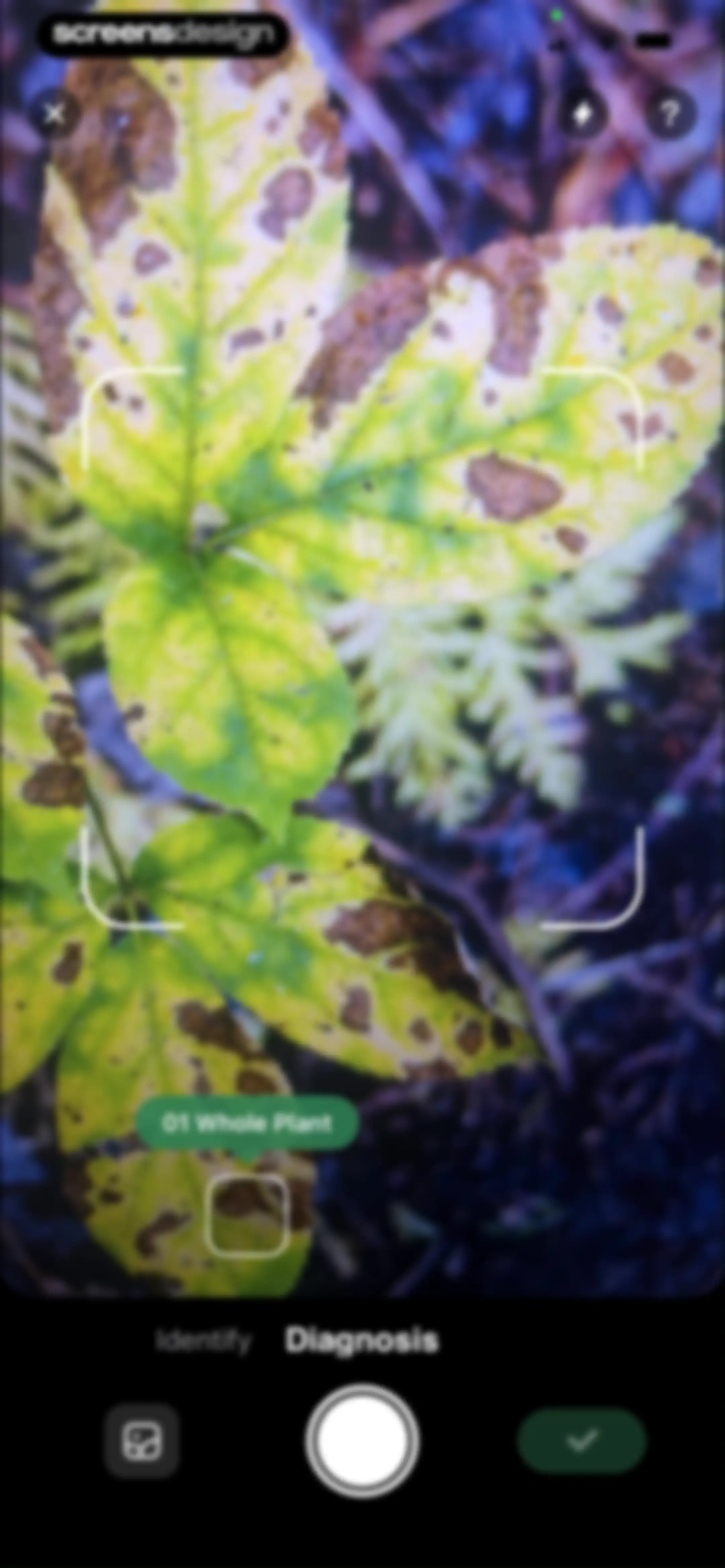 PlantLush: Plant ID & Care Pro screen 33
