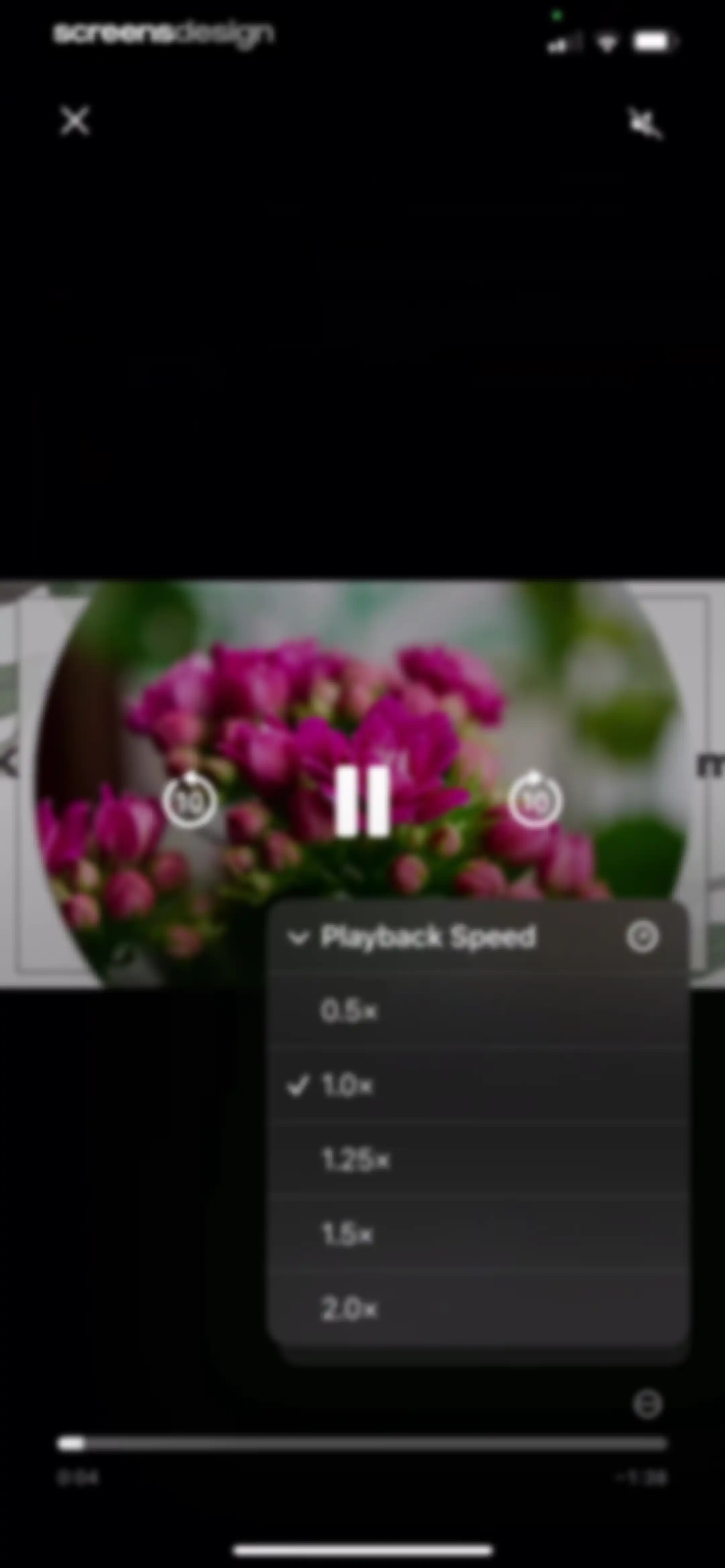 Blossom - Plant Care Guide screen 156