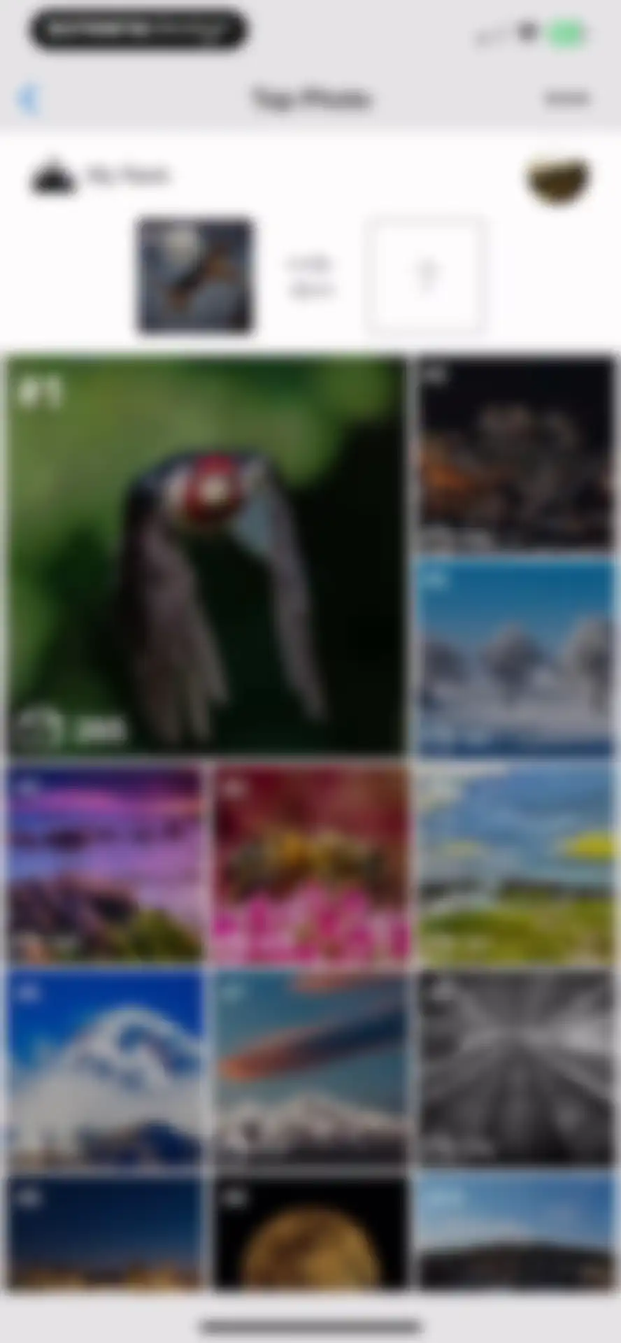 GuruShots: Photography Game screen 19