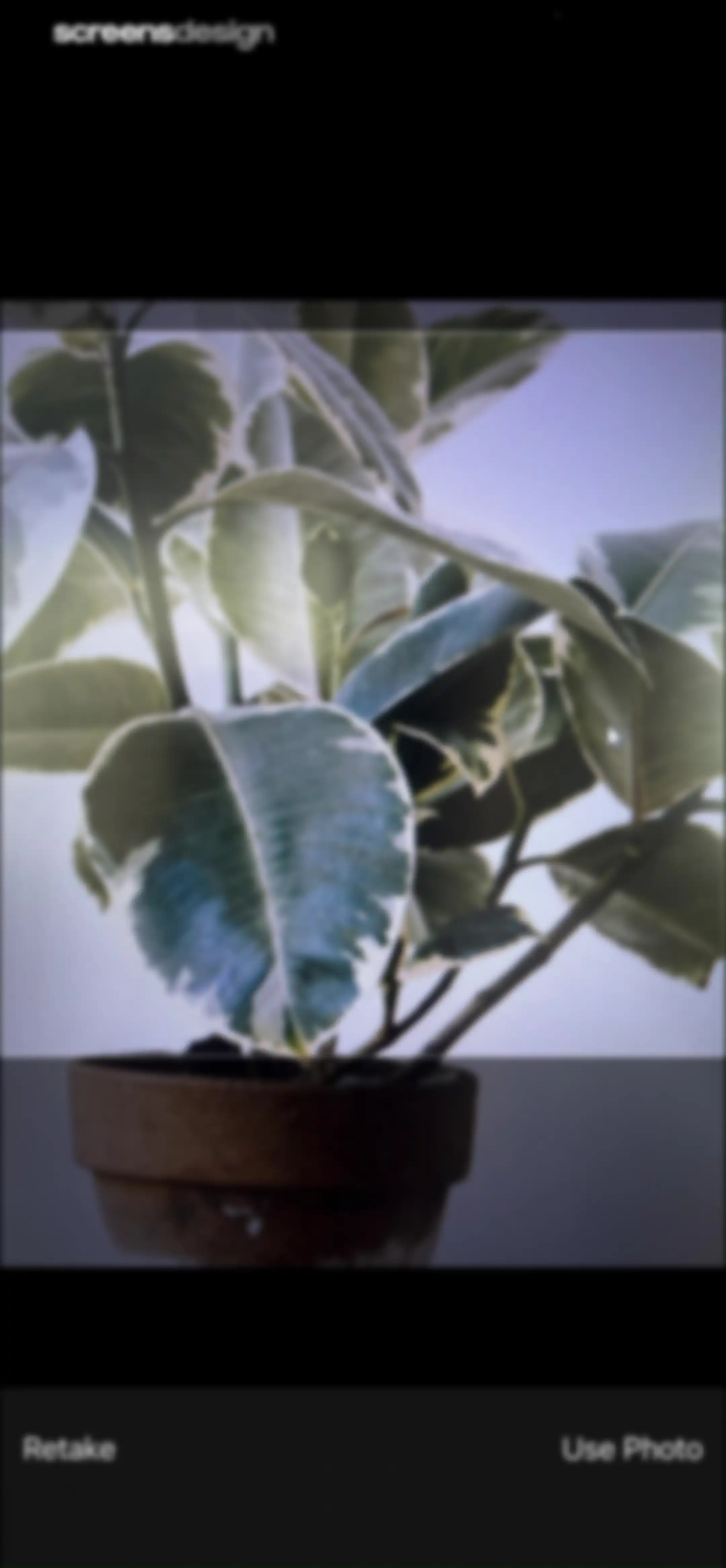 Free Plant Identifier screen 11