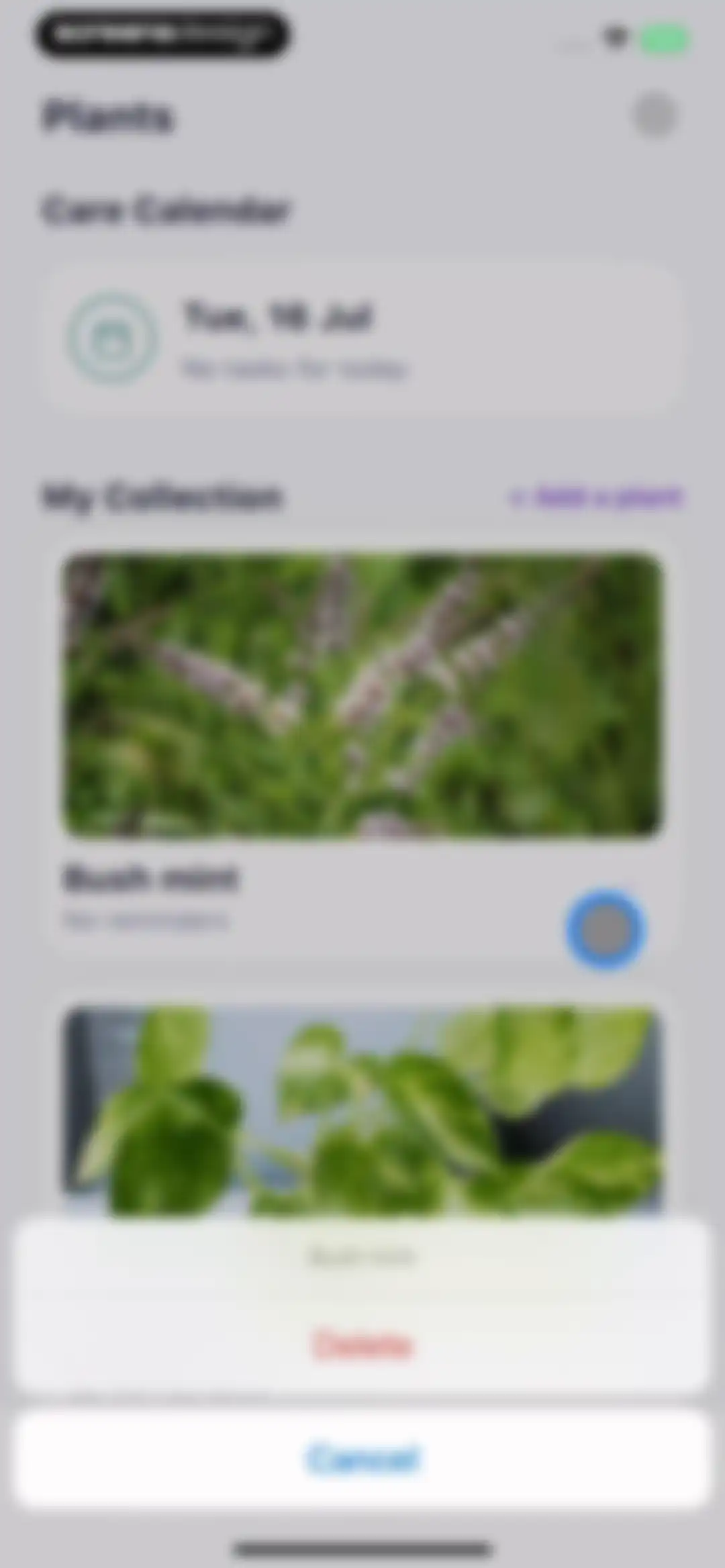 AI Plant Identifier・Care－Lily screen 60
