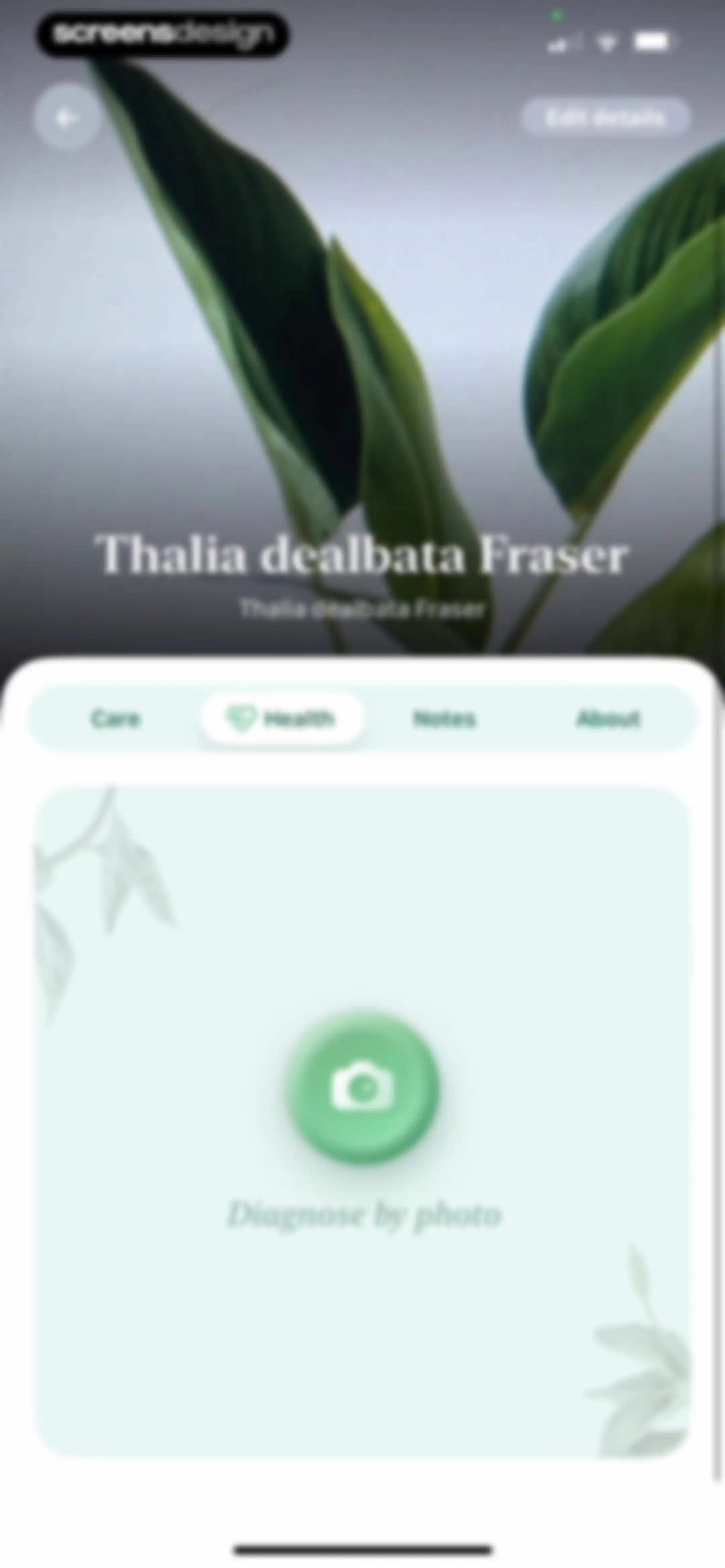 Blossom - Plant Care Guide screen 112