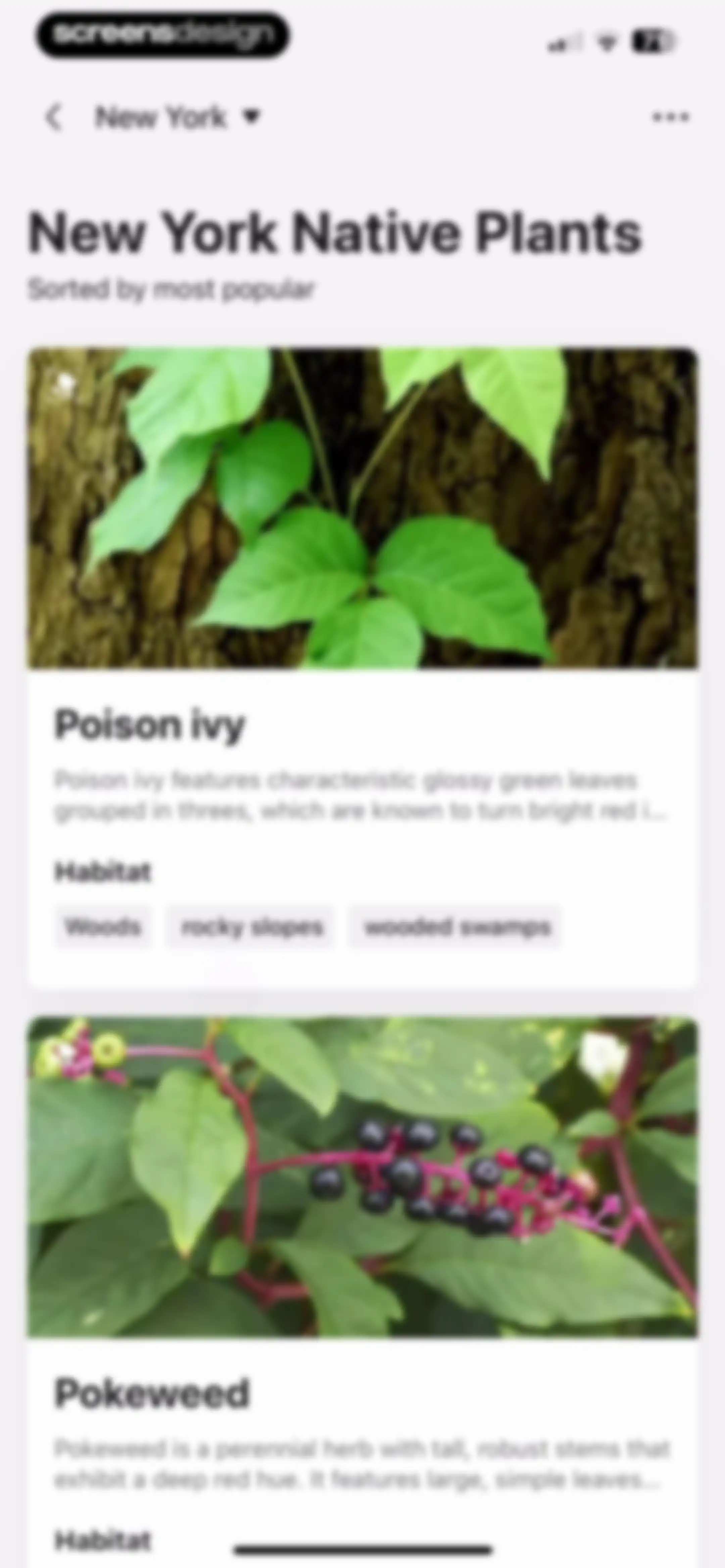 PictureThis - Plant Identifier screen 136
