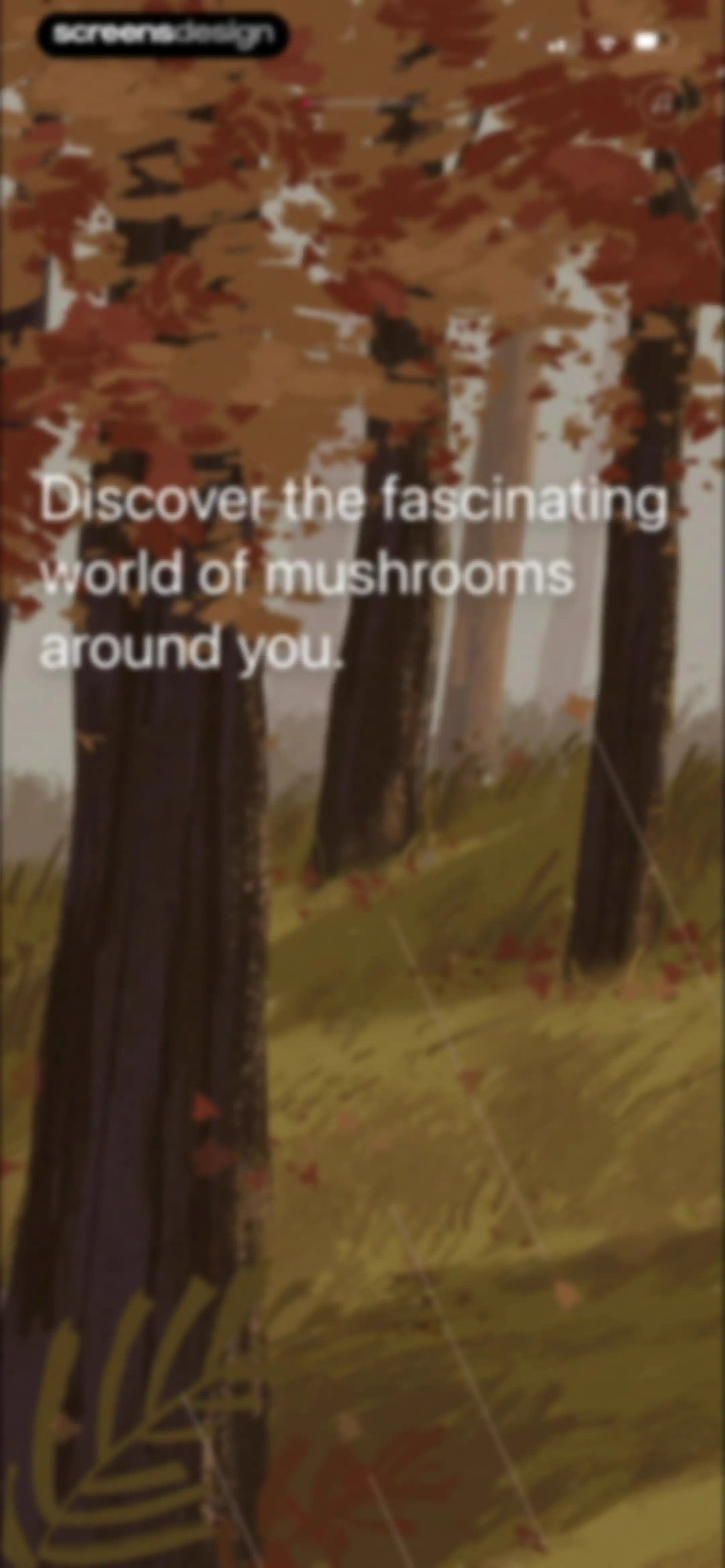 Picture Mushroom: Identifier screen 5