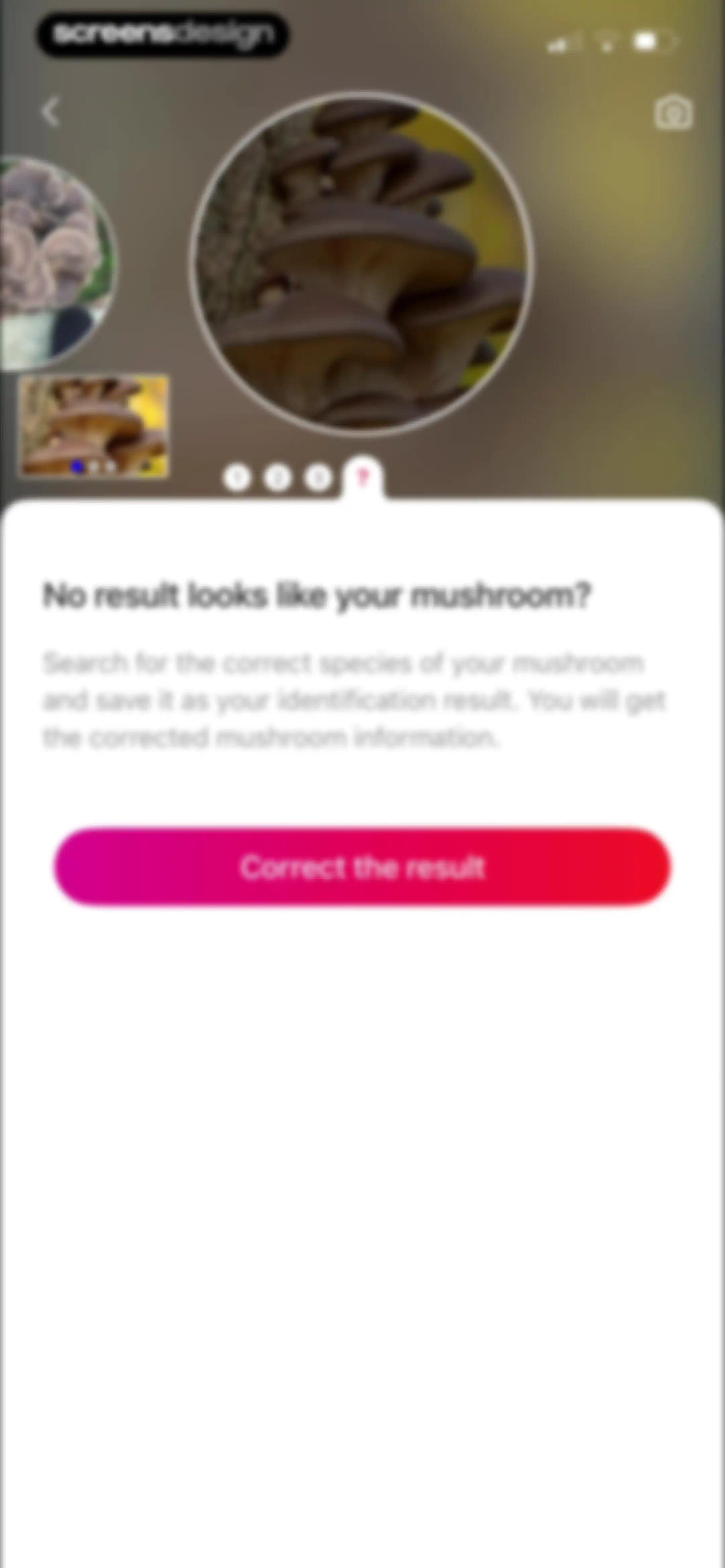 Picture Mushroom: Identifier screen 81