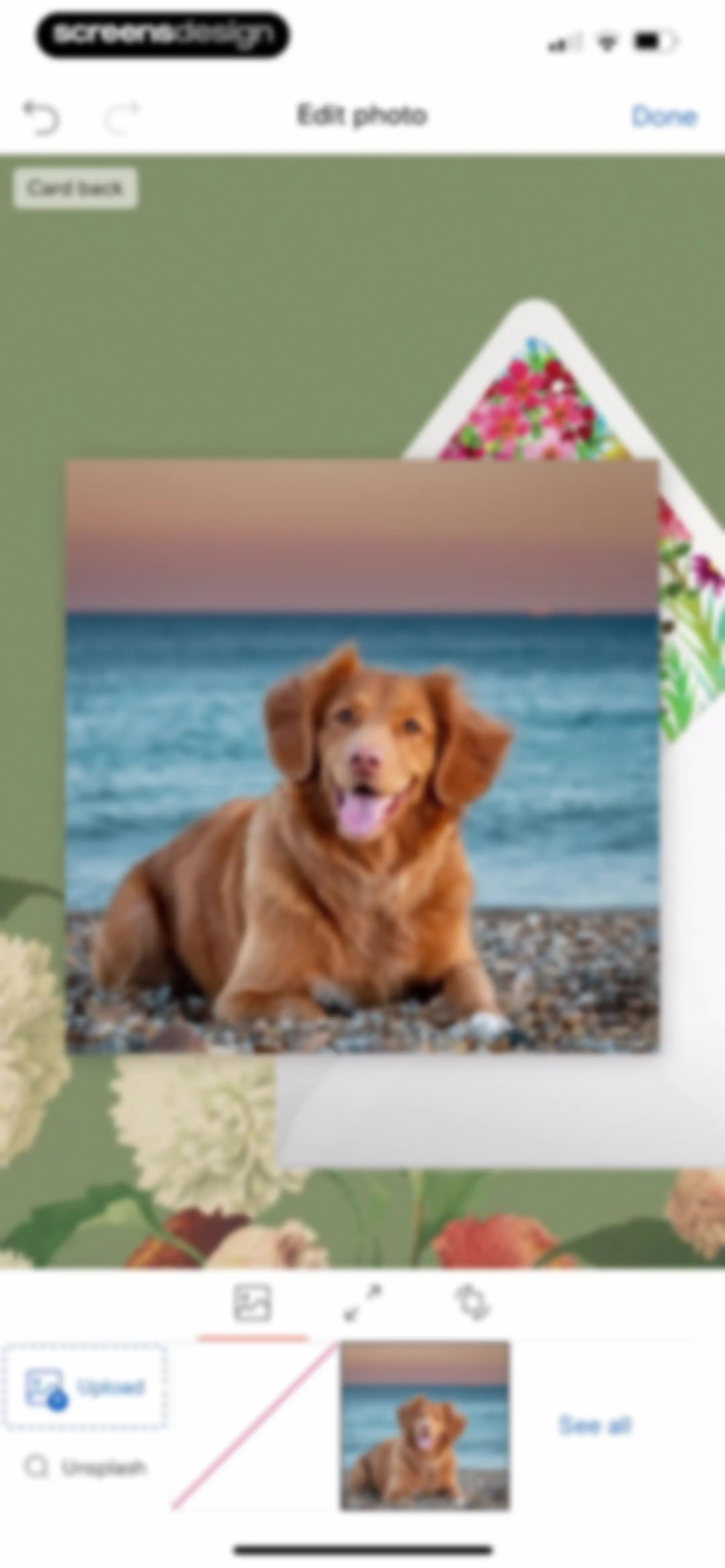 Paperless Post: Invitations screen 37