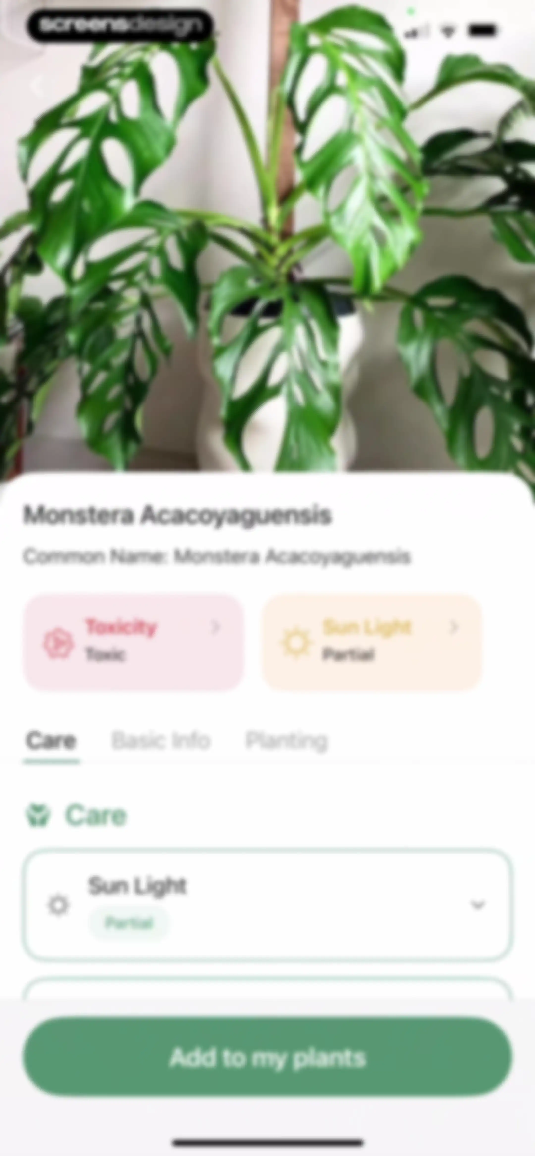 Verde Finder : identify plants screen 58