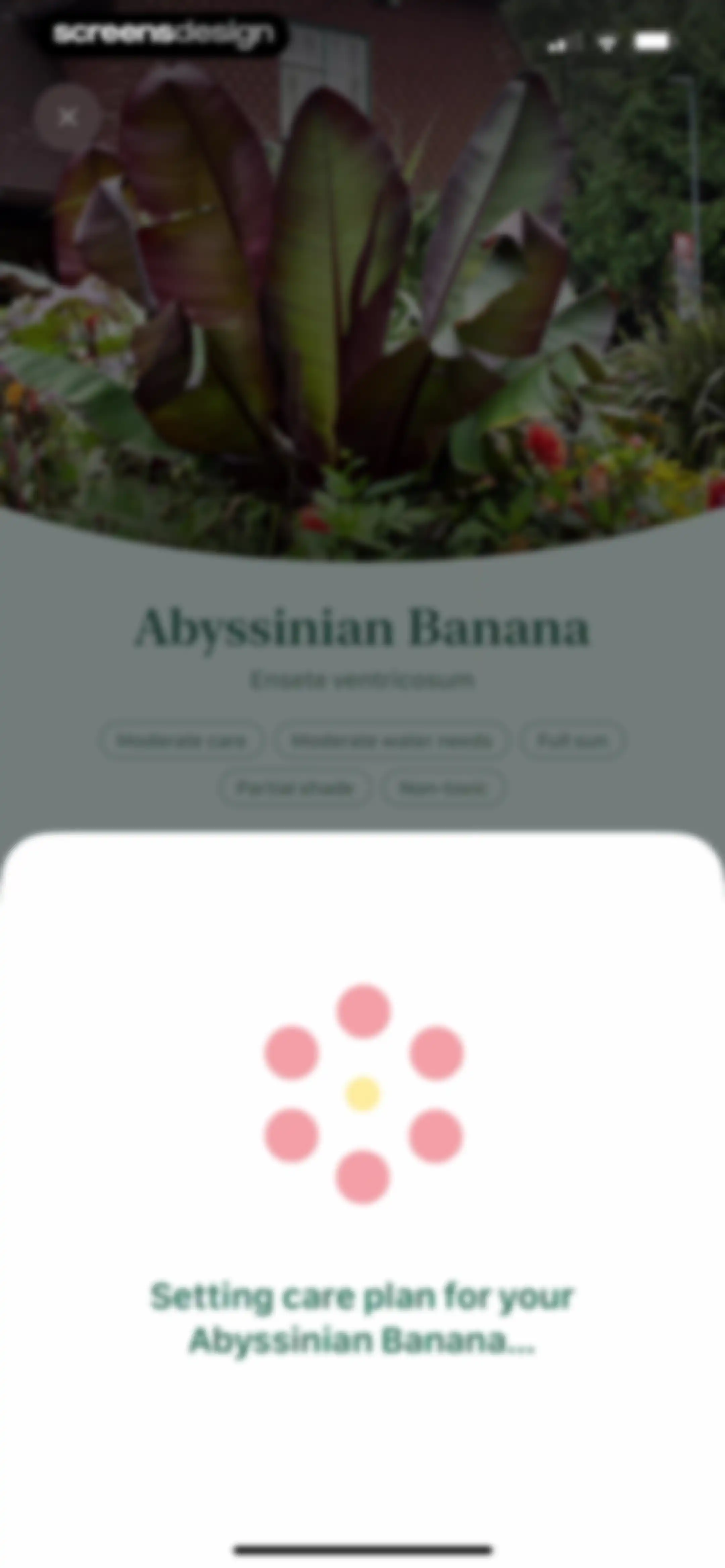 Blossom - Plant Care Guide screen 44