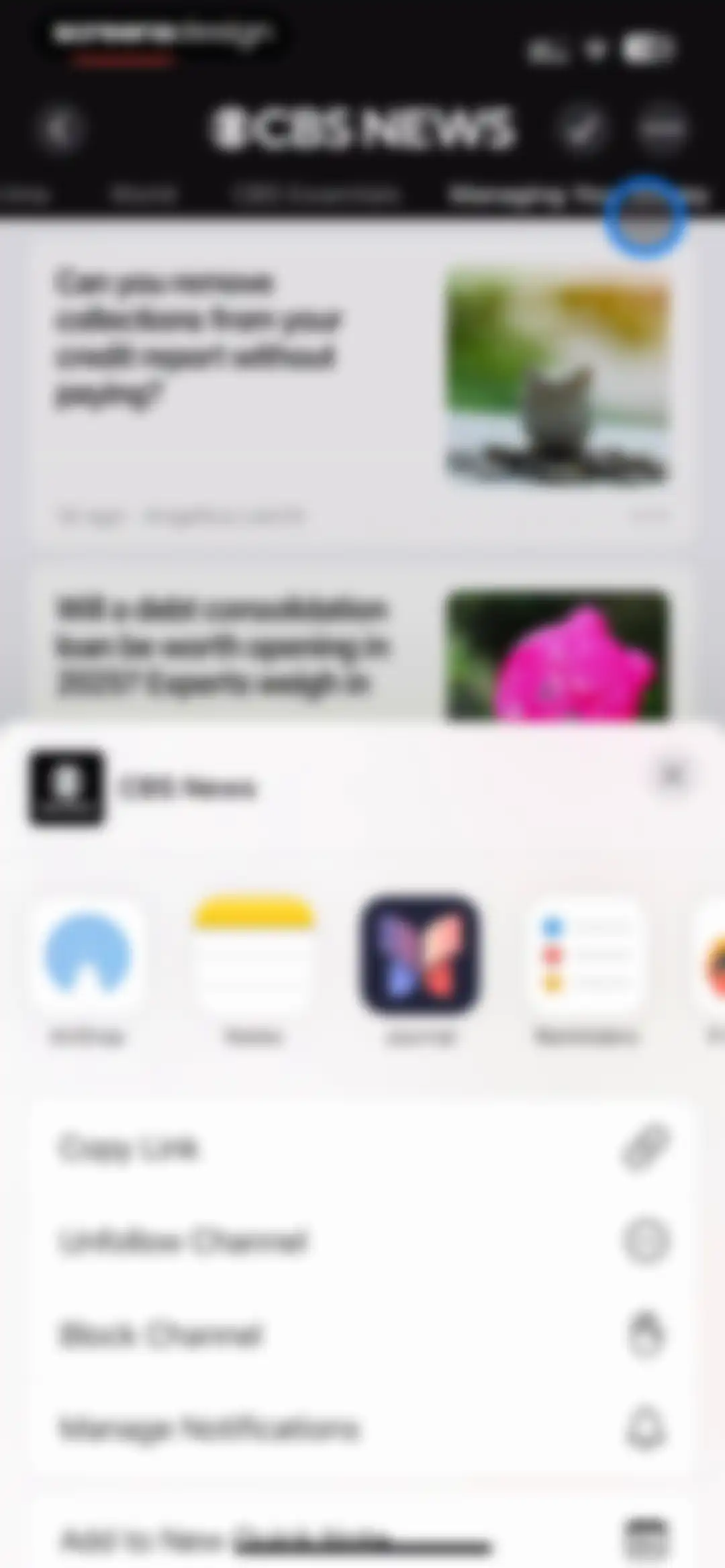 Apple News screen 15