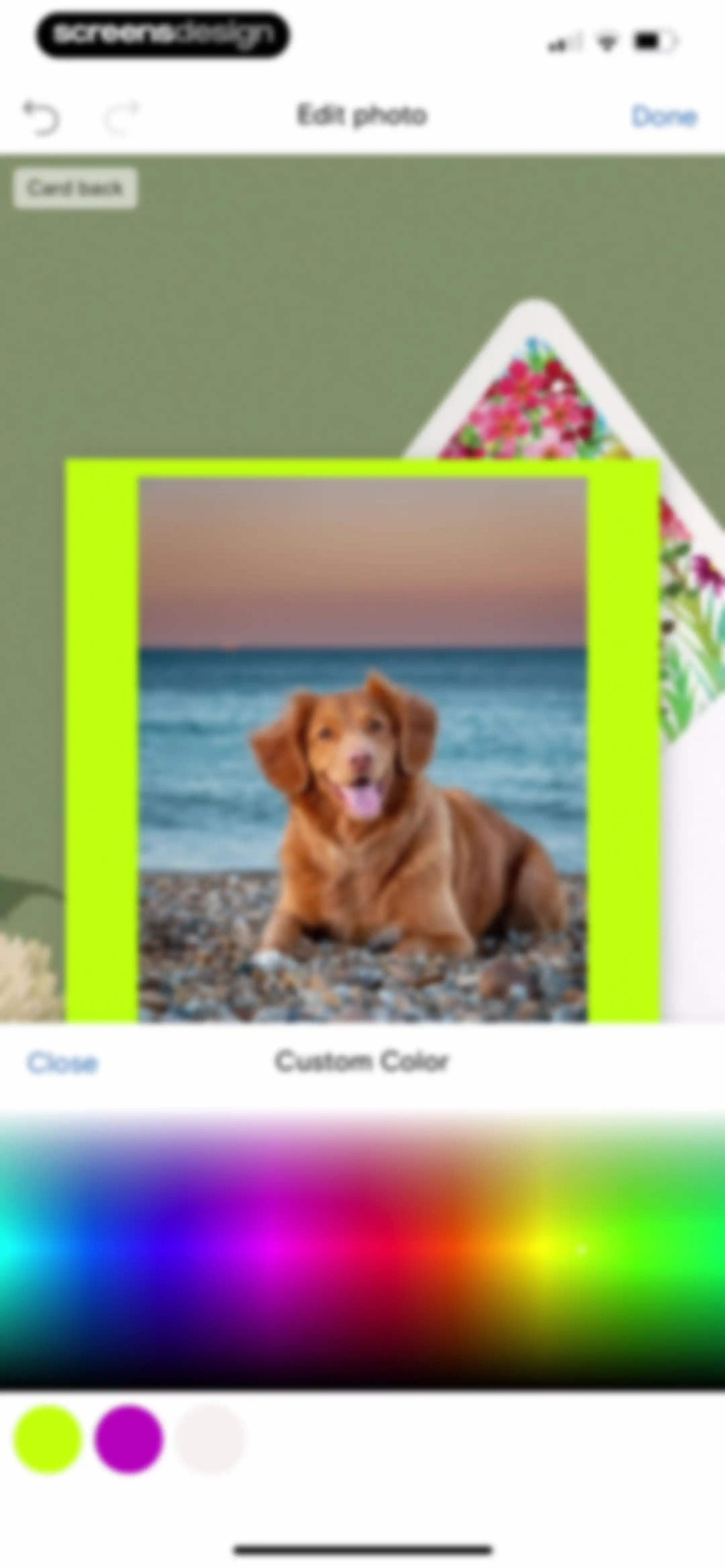 Paperless Post: Invitations screen 41