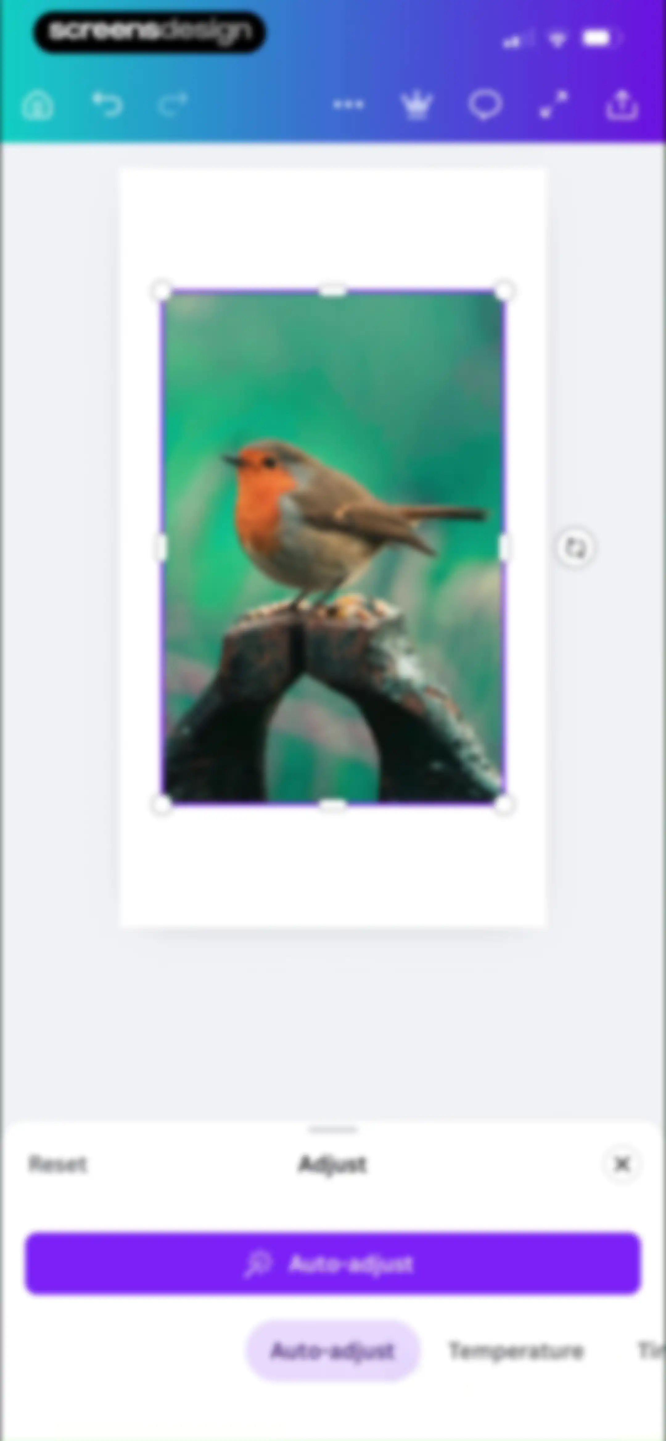 Canva: AI Video & Photo Editor screen 29