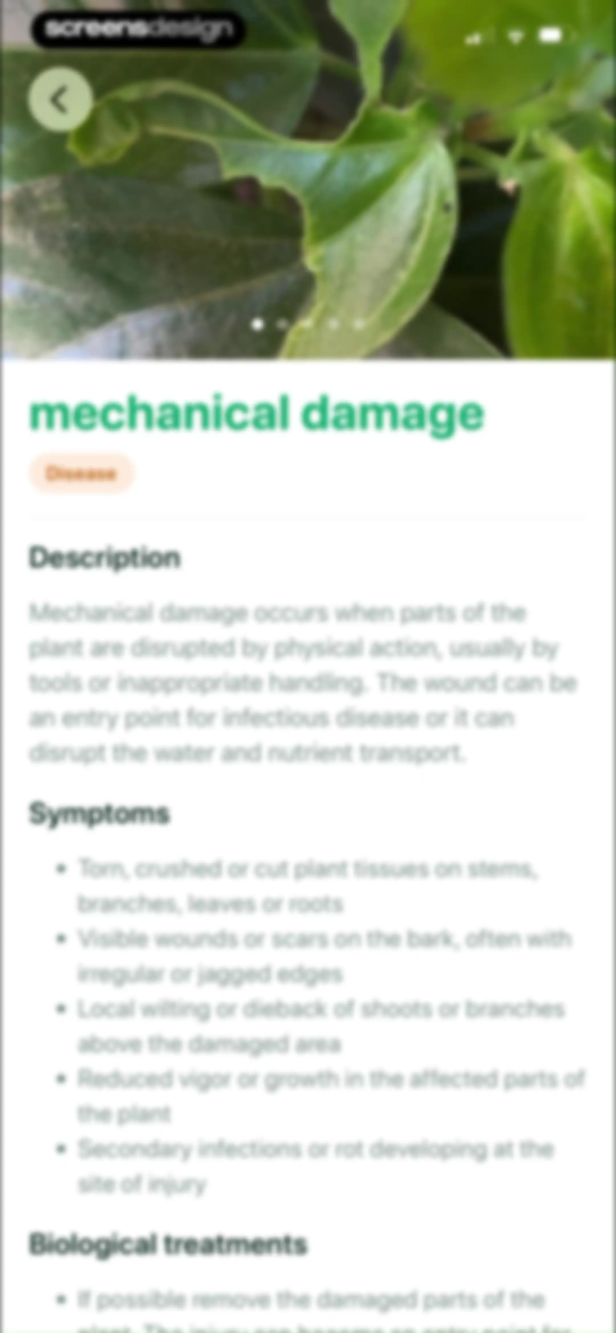 Planto: Plant Identifier screen 20