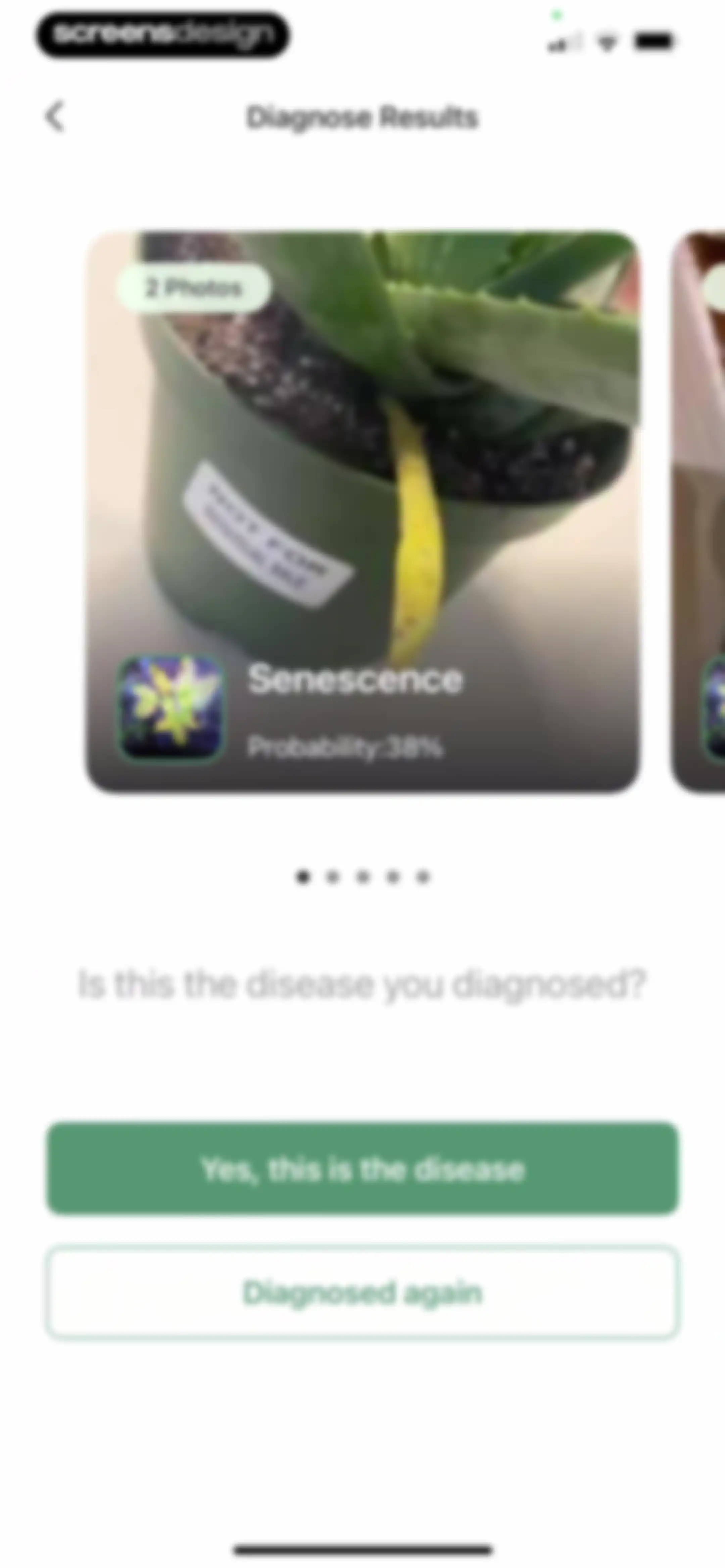 Verde Finder : identify plants screen 25