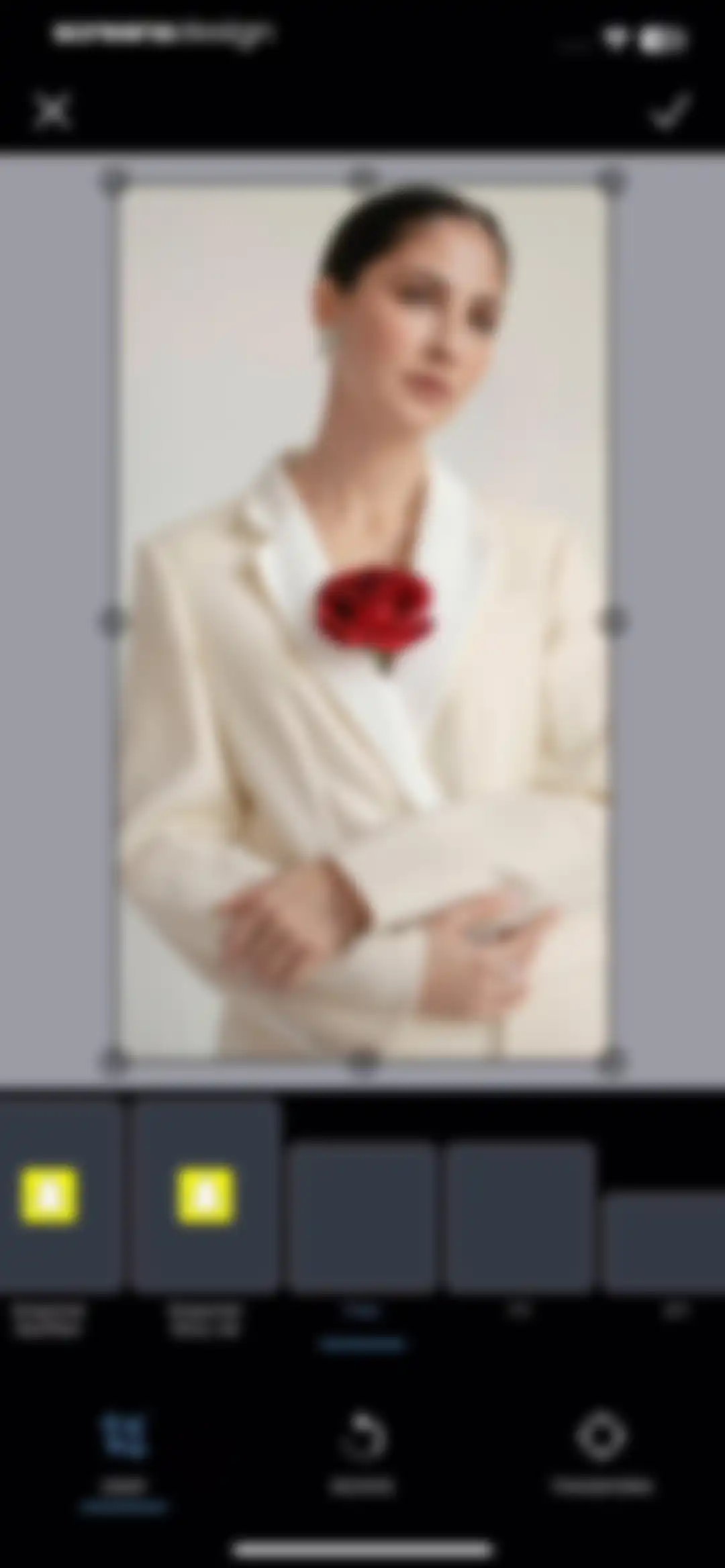 PicMonkey Photo + Video Design screen 24