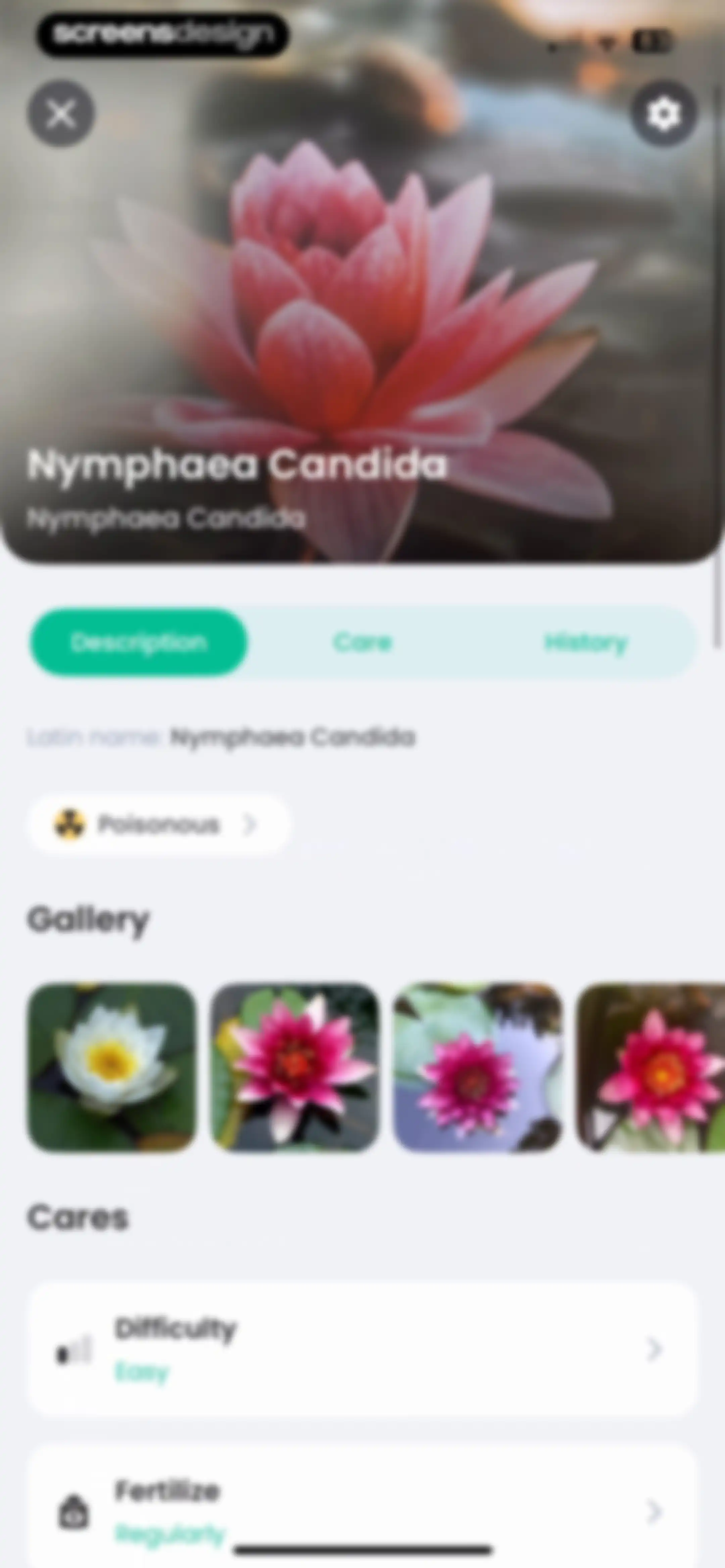 PlantIn: Plant Identifier・Care screen 36