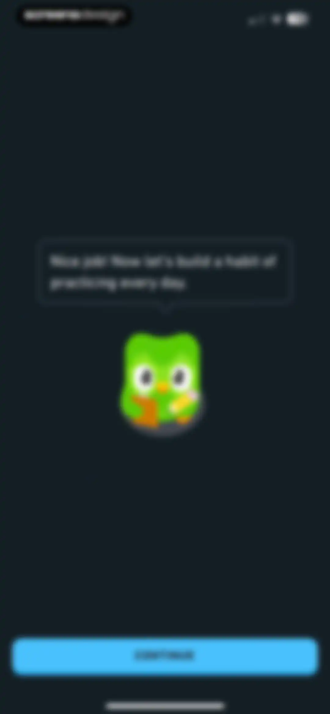 Duolingo: Language Lessons screen 29