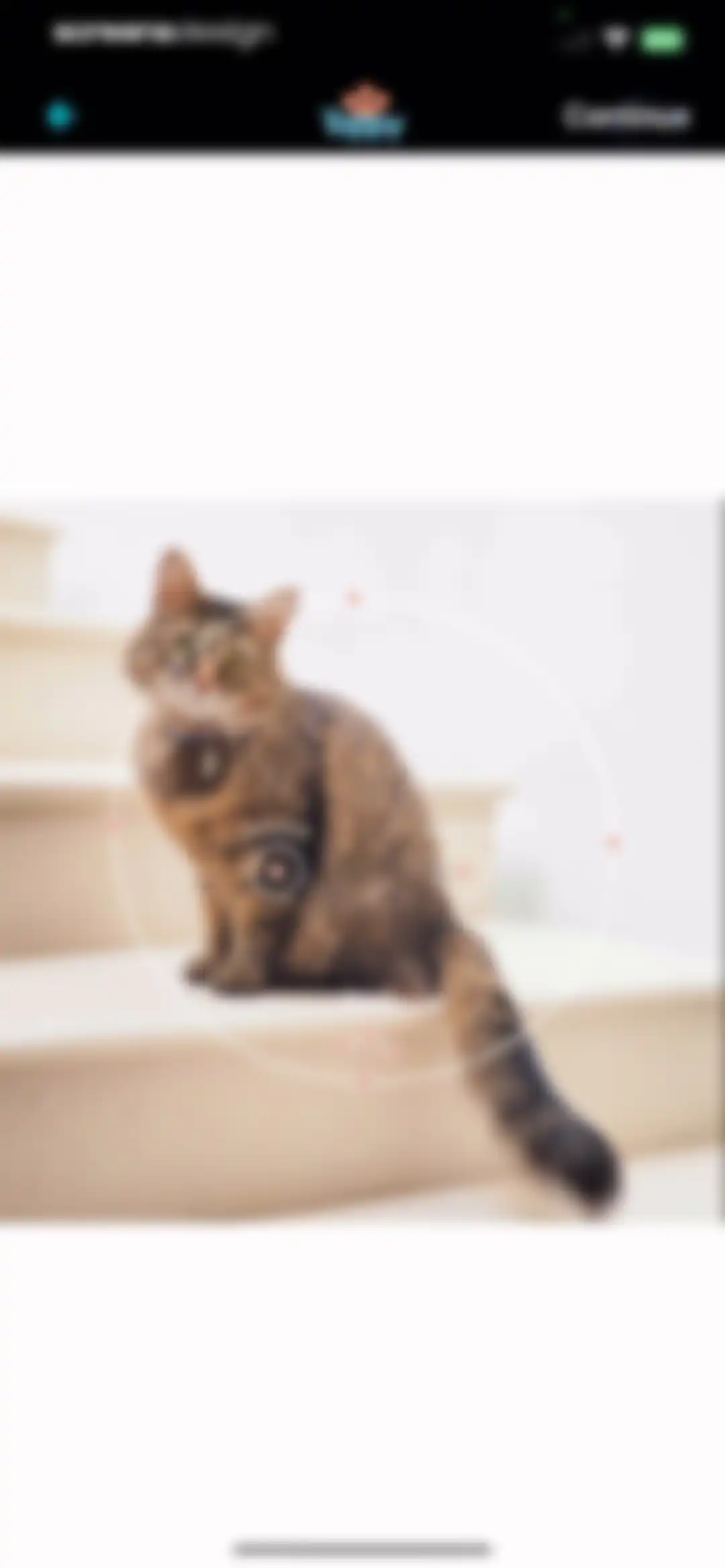 My Talking Animal & Pet App screen 11