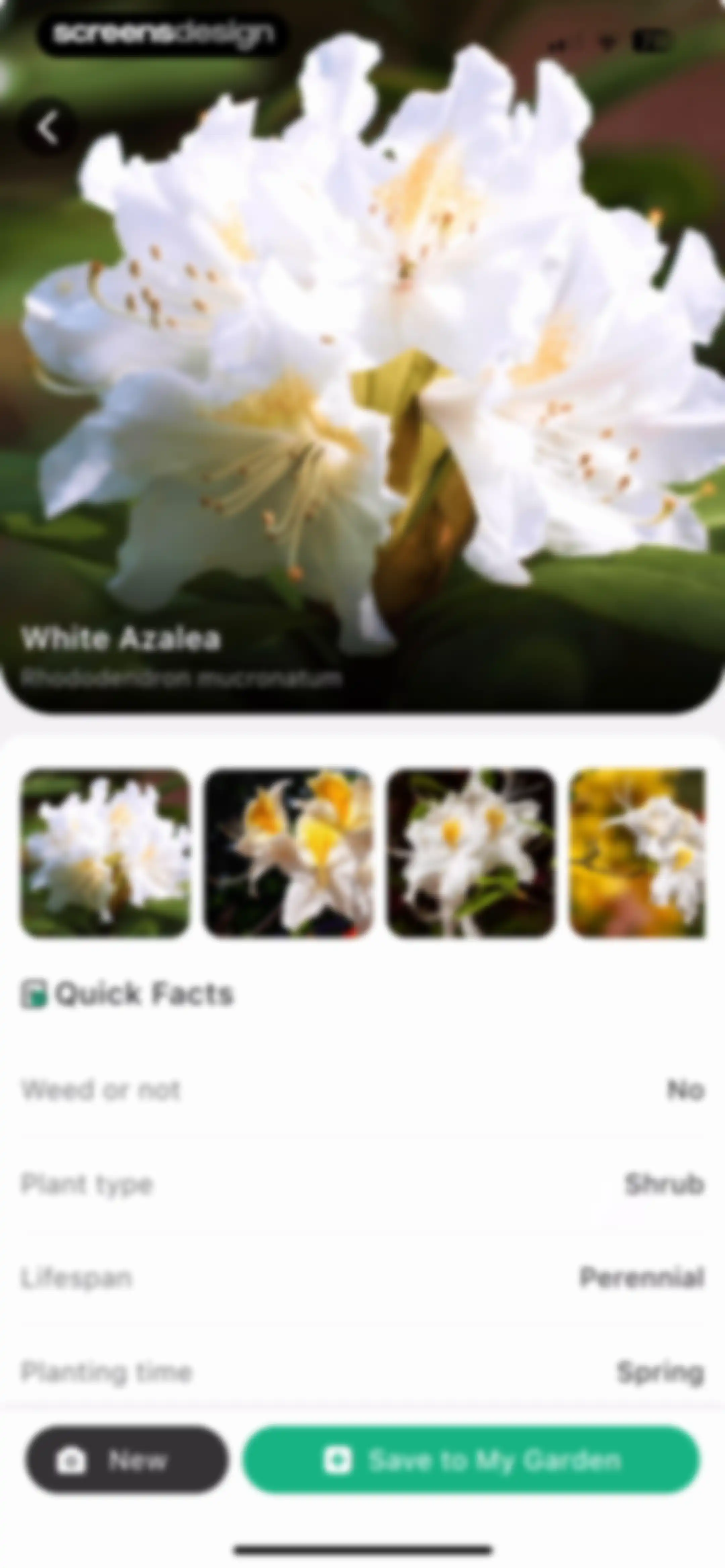 Plant Identifier: ChatPlant AI screen 56
