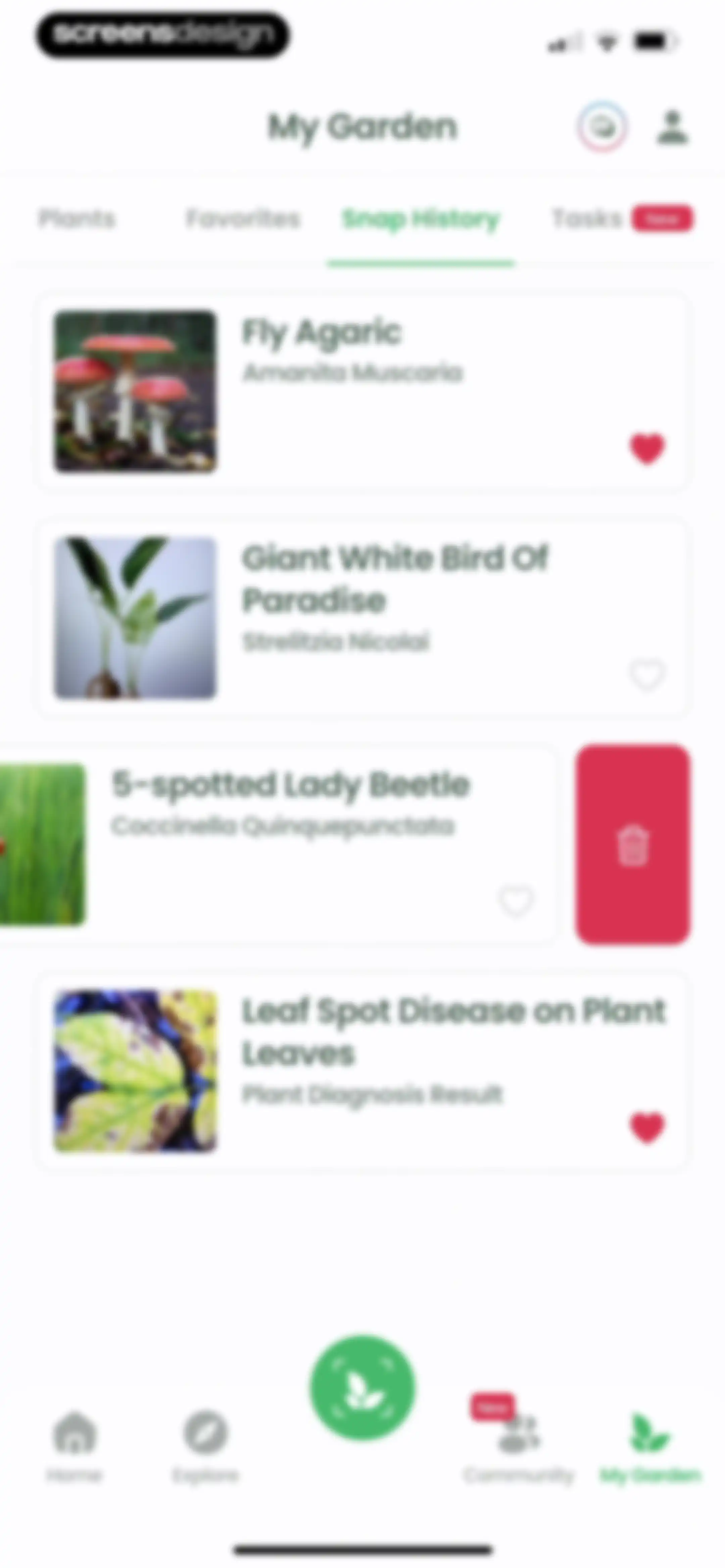 Plant Identifier: Plantiary screen 133