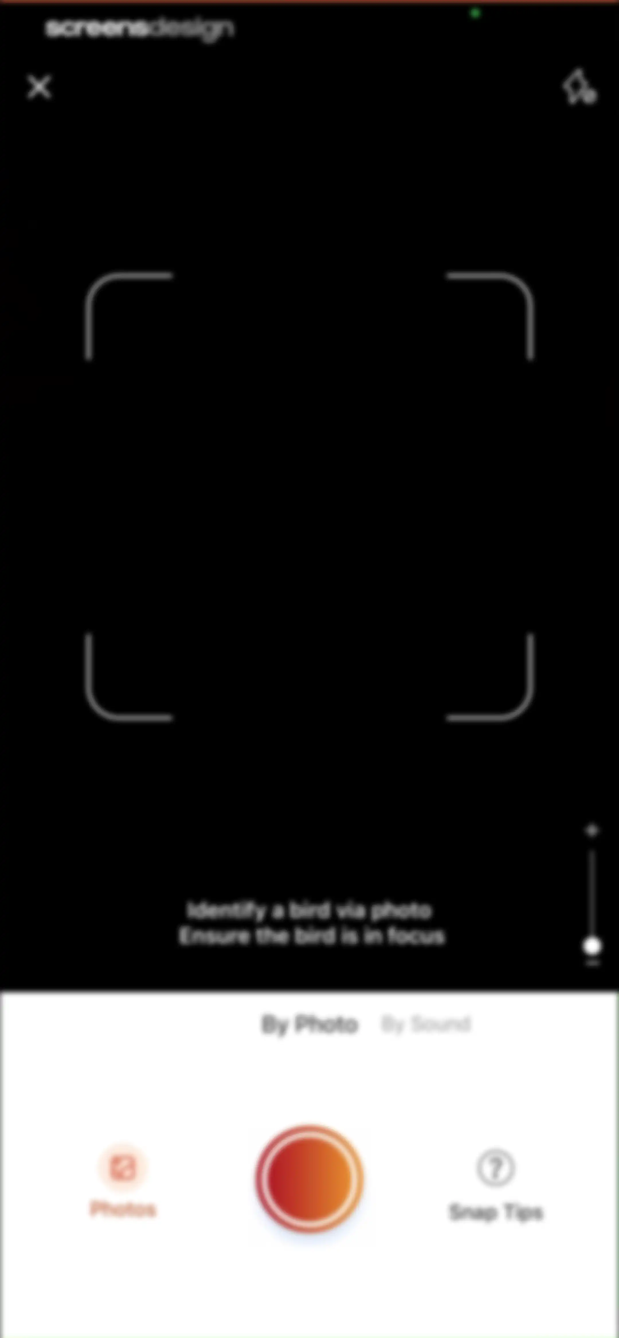 Picture Bird: Bird identifier screen 94