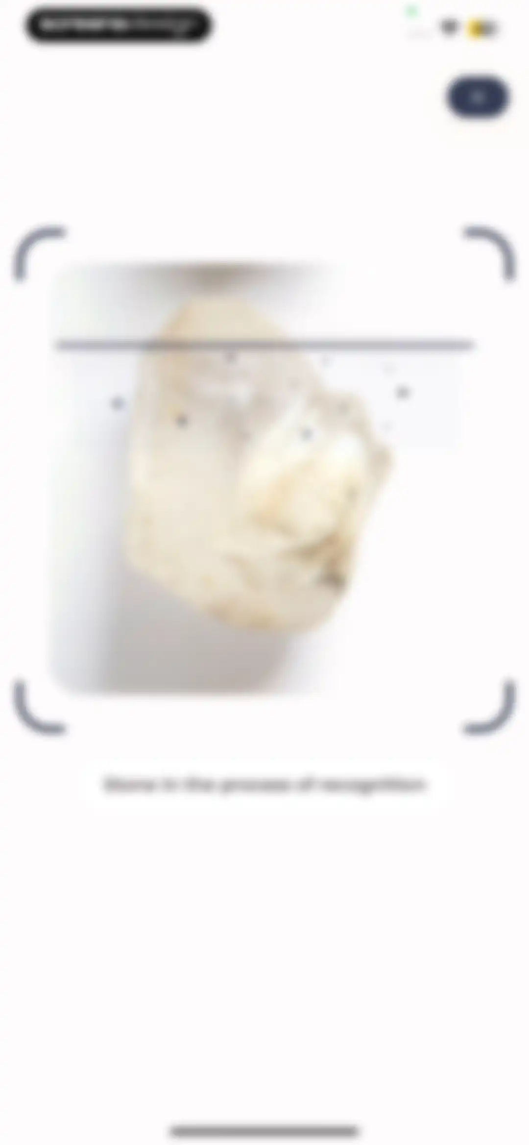 Stone Identifier: Rock Scanner screen 29