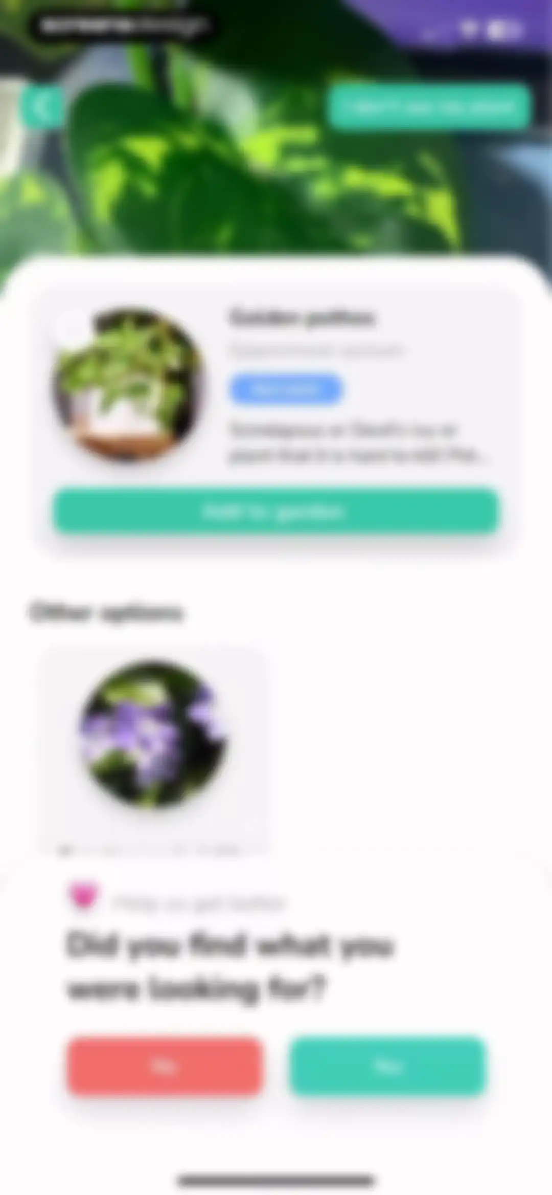 Plant Identifier - PlantMe screen 13