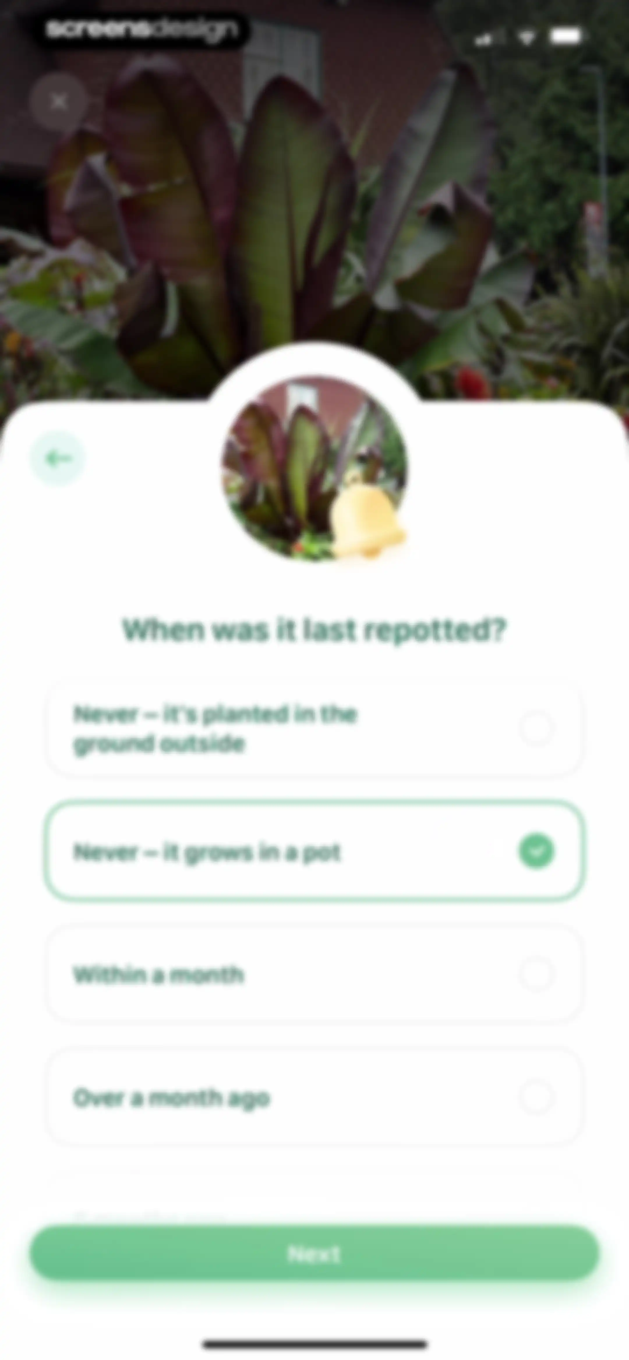 Blossom - Plant Care Guide screen 38