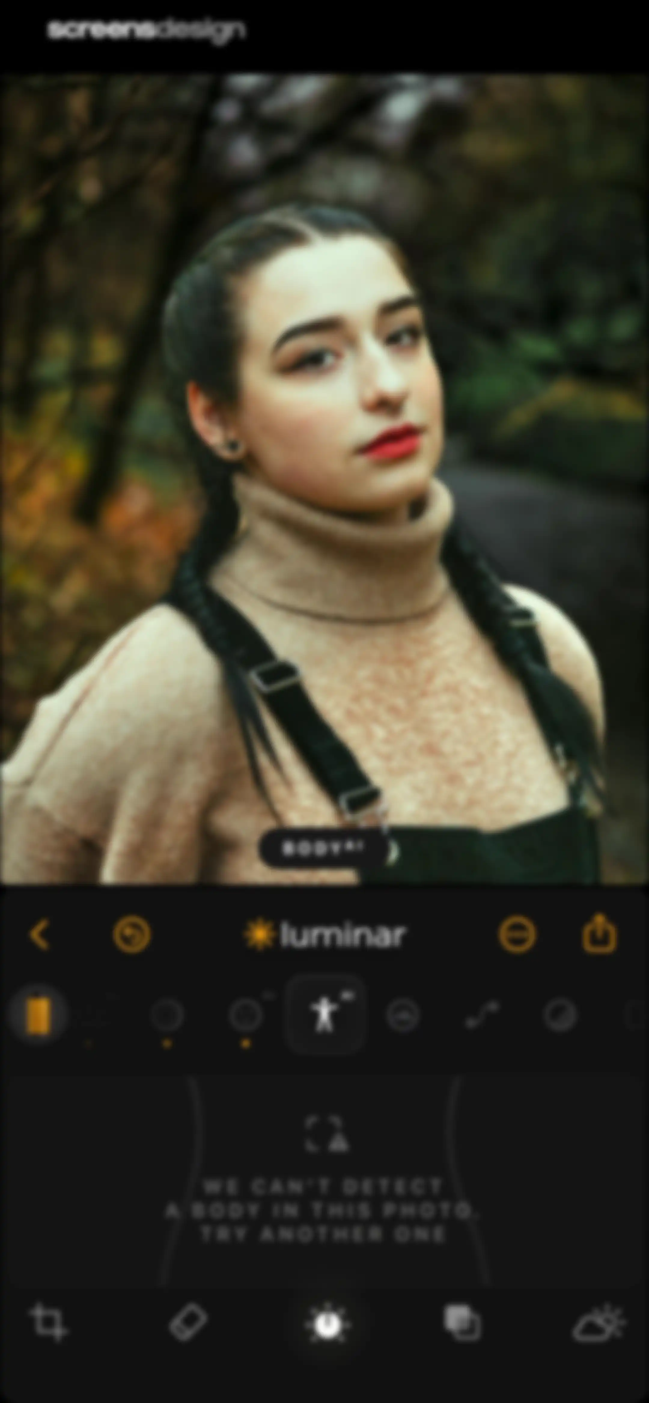 Luminar: Image Editor&Enhancer screen 29