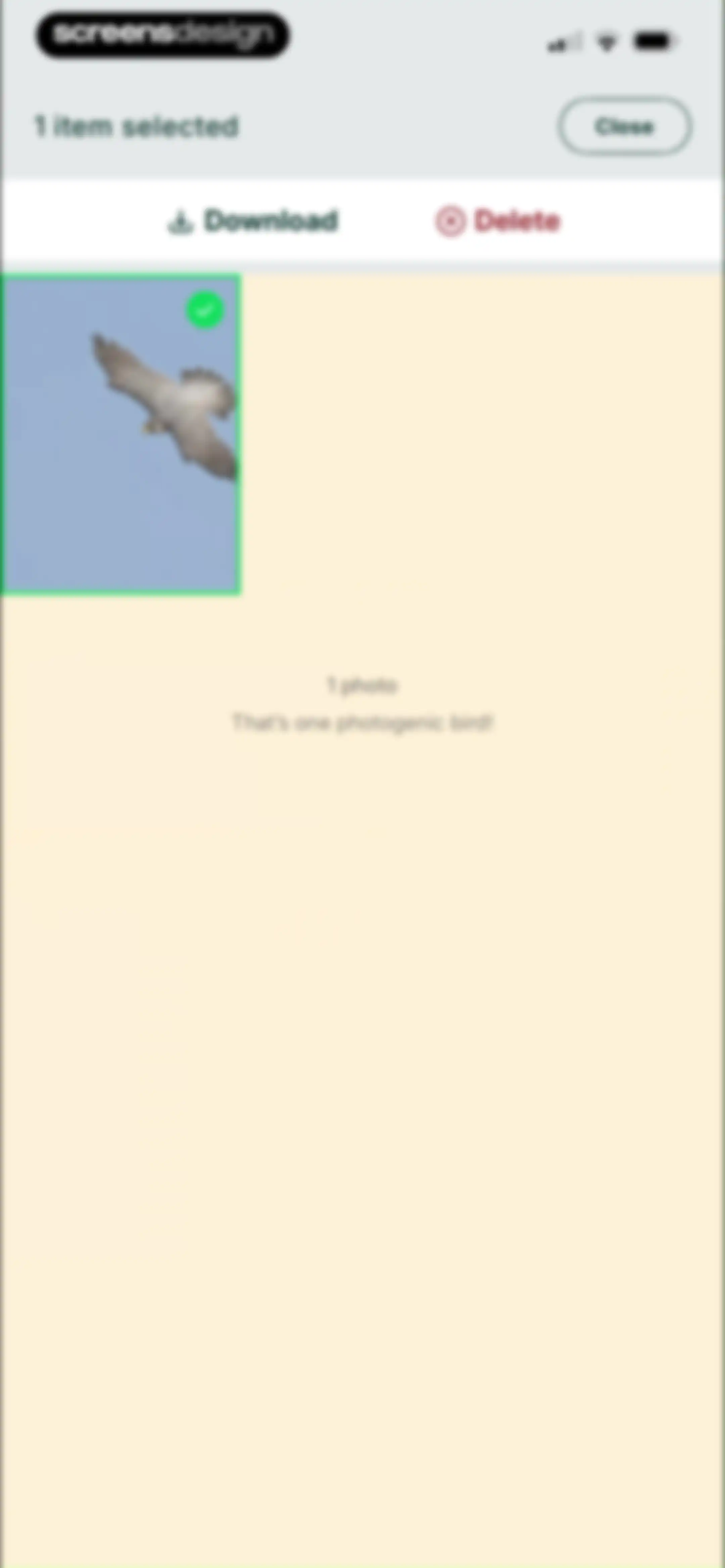 Birdbuddy: ID & Collect Birds screen 74