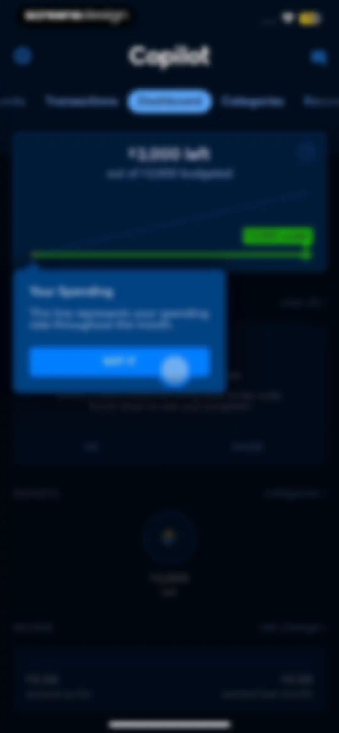 Copilot: Track & Budget Money screen 34