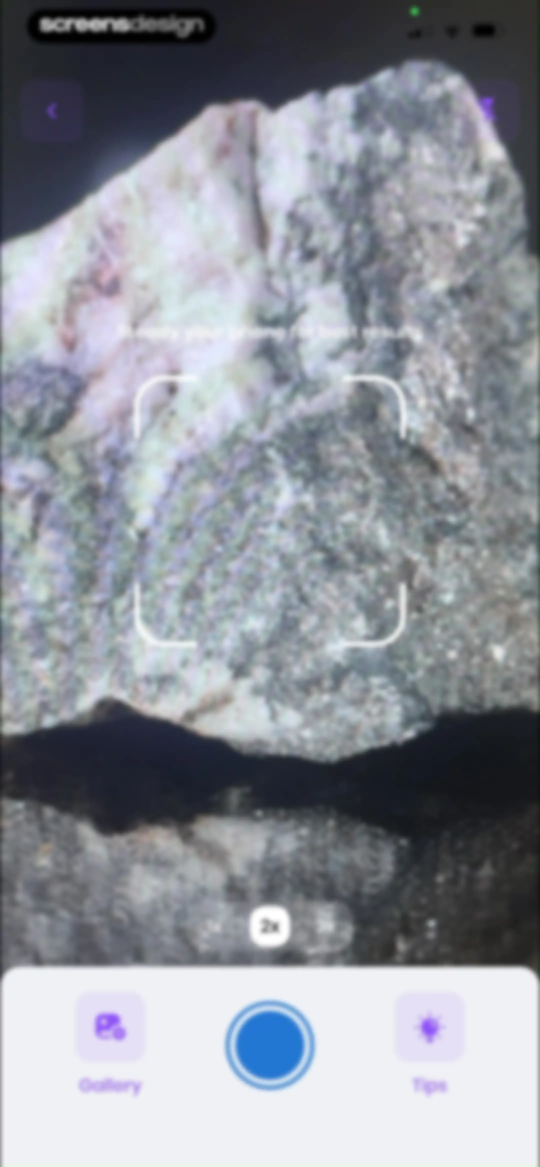 RockIn Rock & Mineral identify screen 16