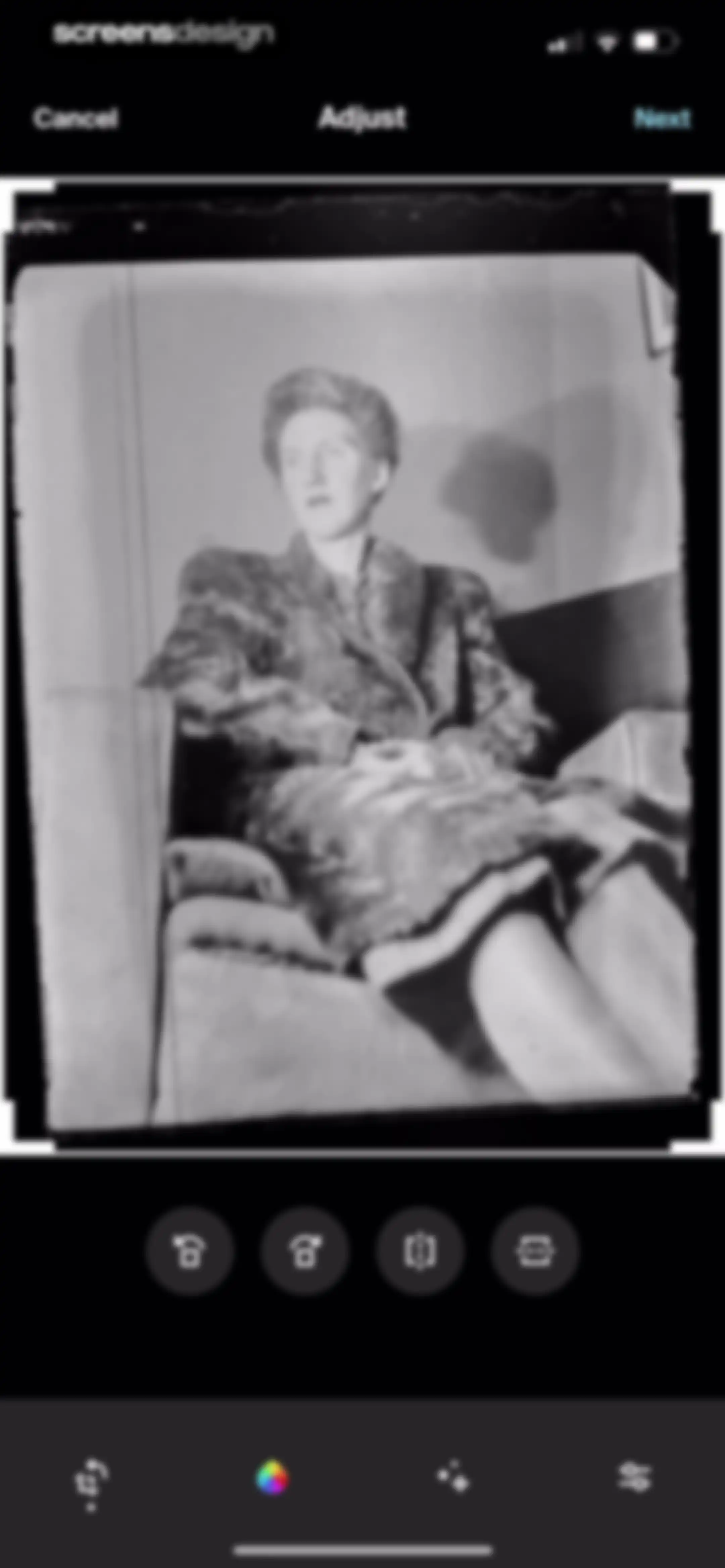 Ancestry: Family History & DNA screen 101