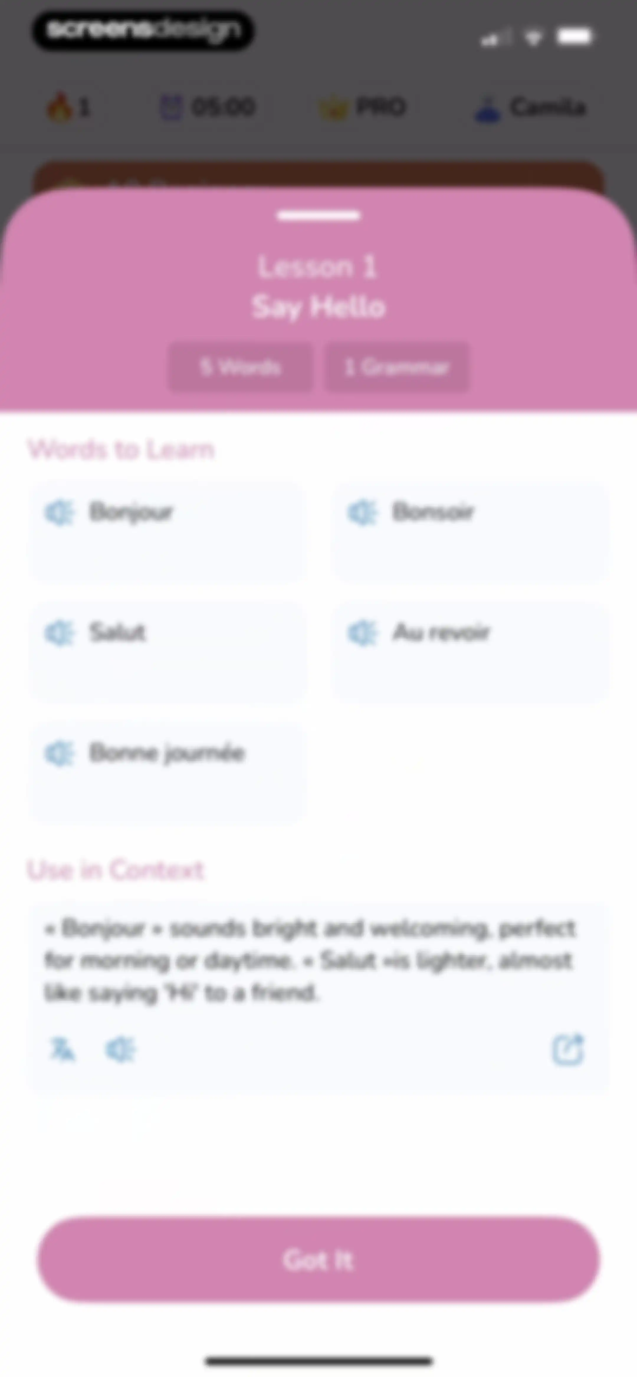 Speak English: Lingo AI screen 20