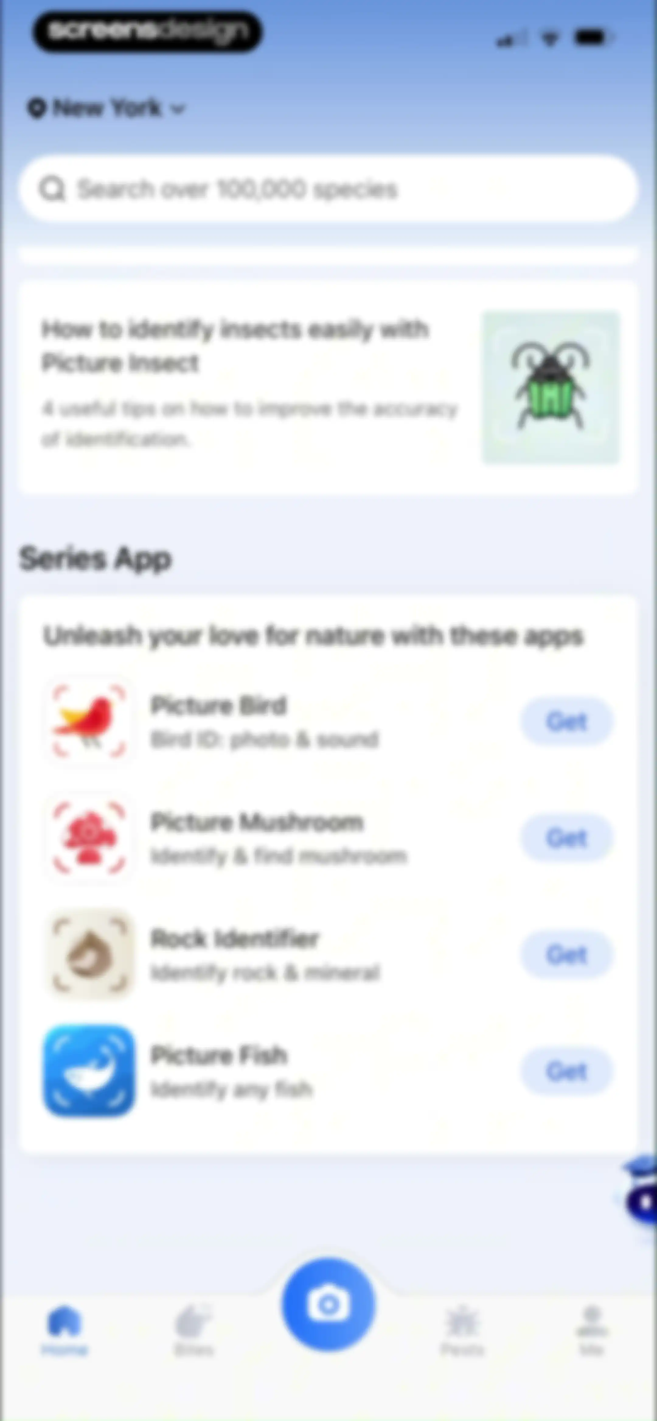 Picture Insect: Bug Identifier screen 81