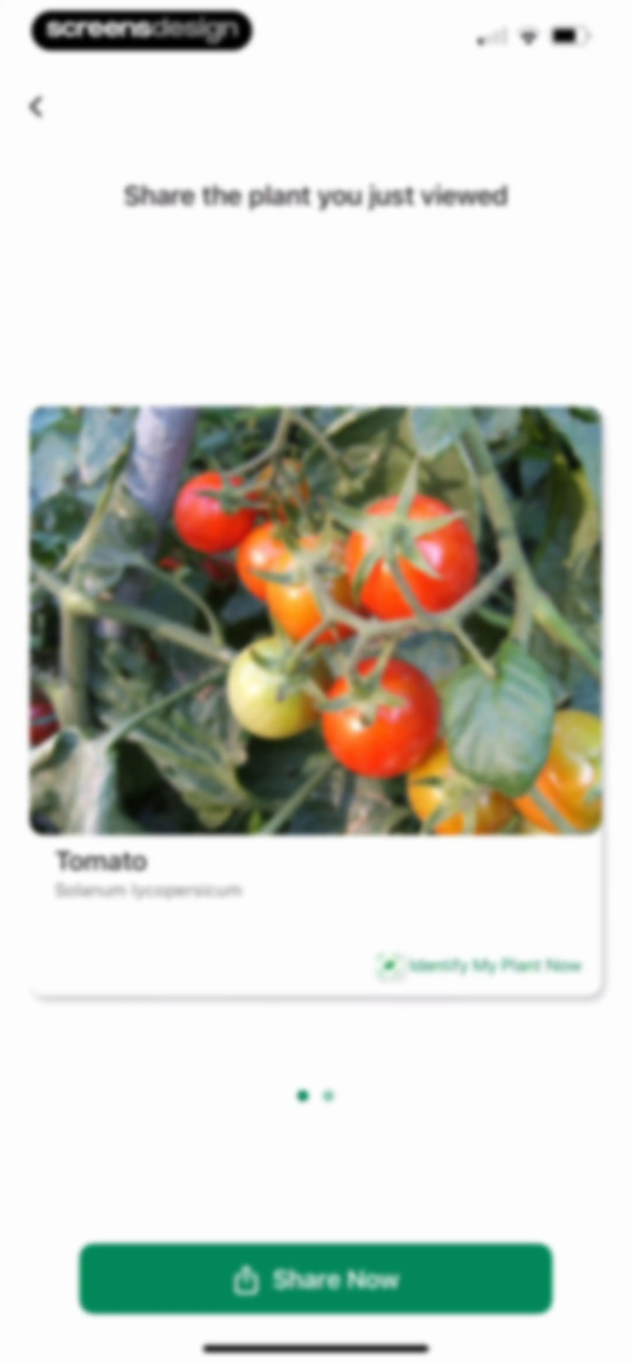 Identify My Plant Now screen 17
