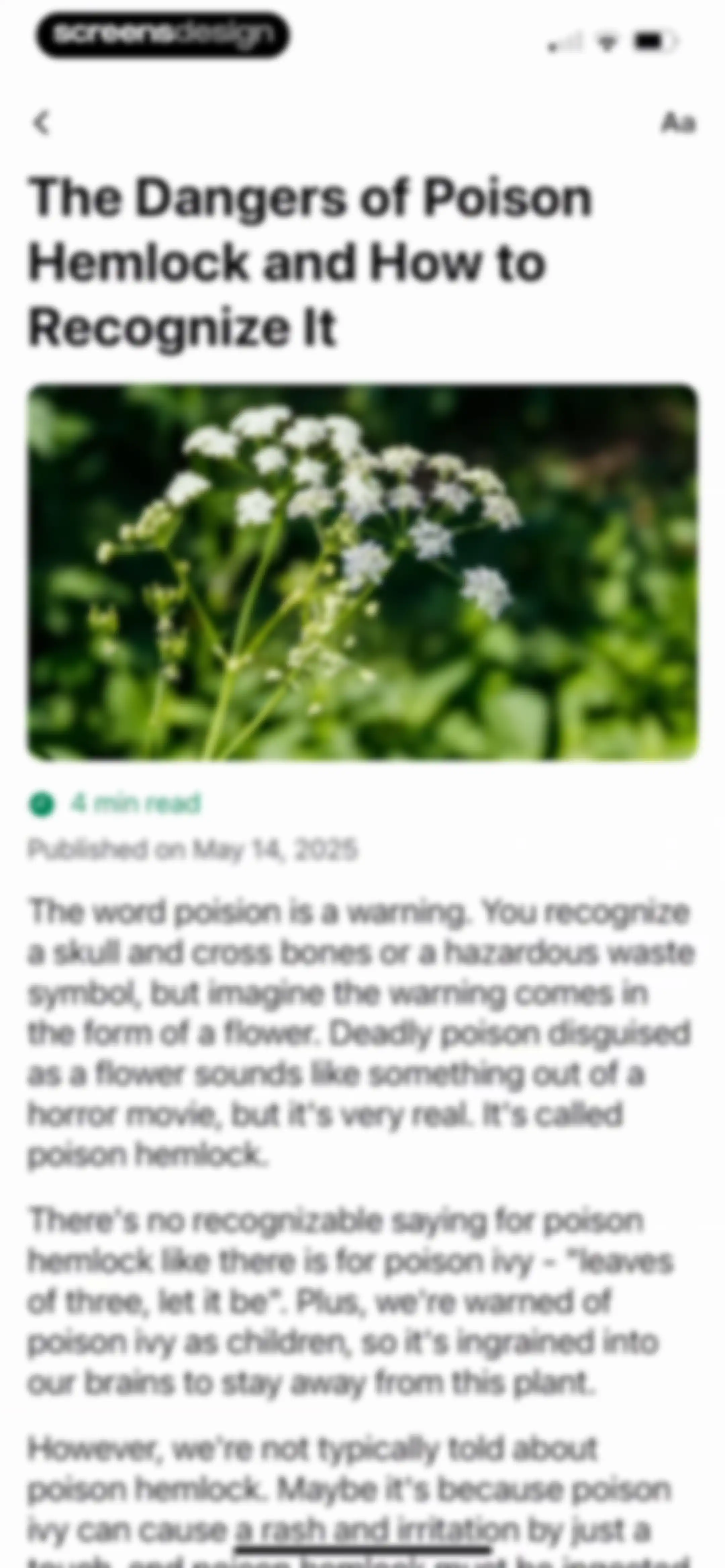 Identify My Plant Now screen 37