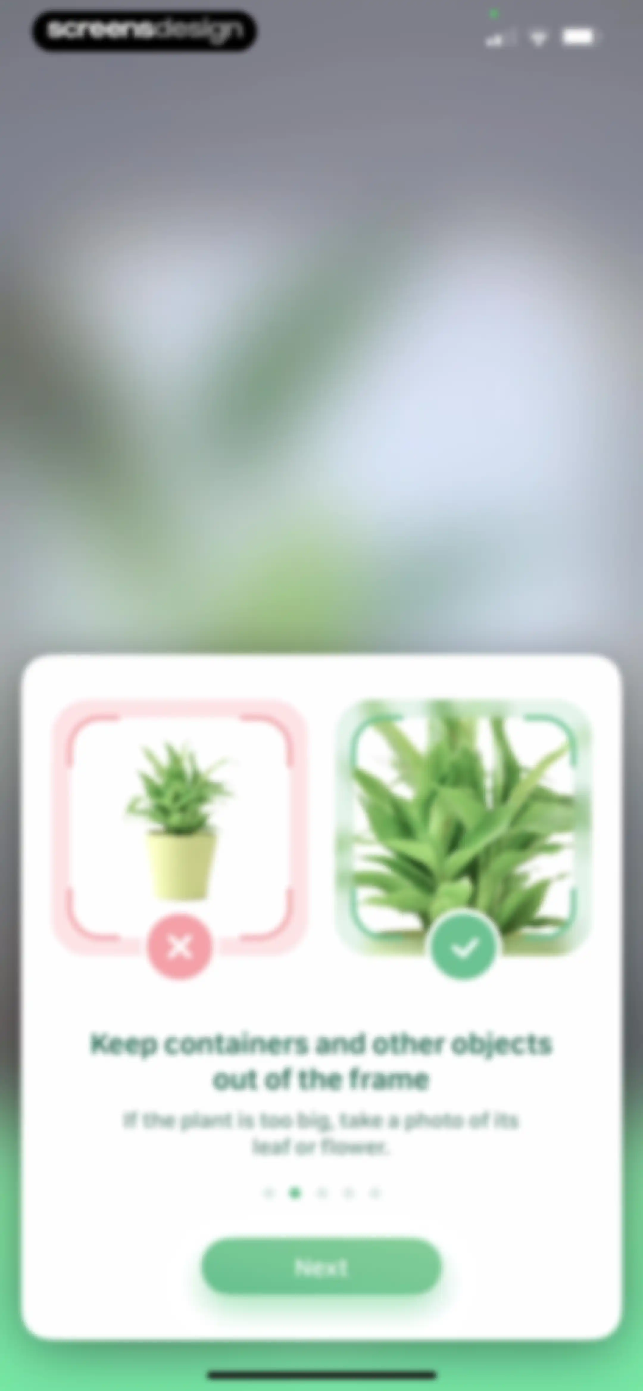 Blossom - Plant Care Guide screen 94