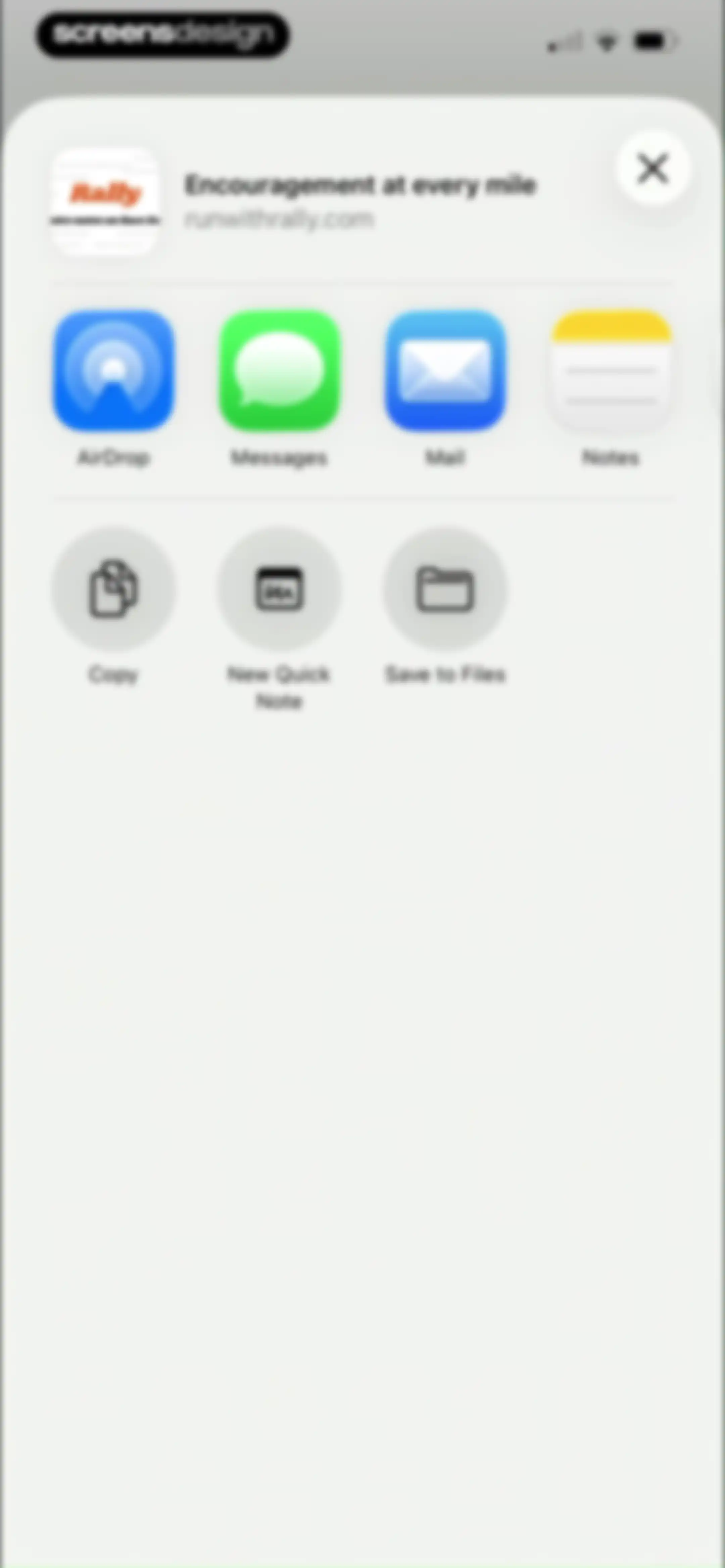 Rally: Voice Notes on Race Day screen 37