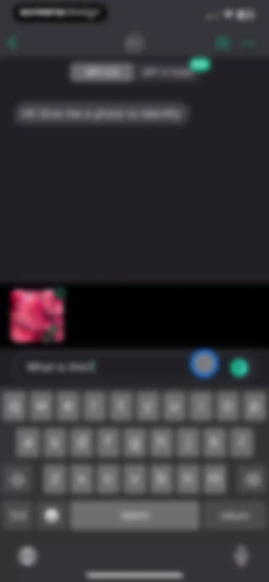 AI+ Chat & Al Video Generator screen 14